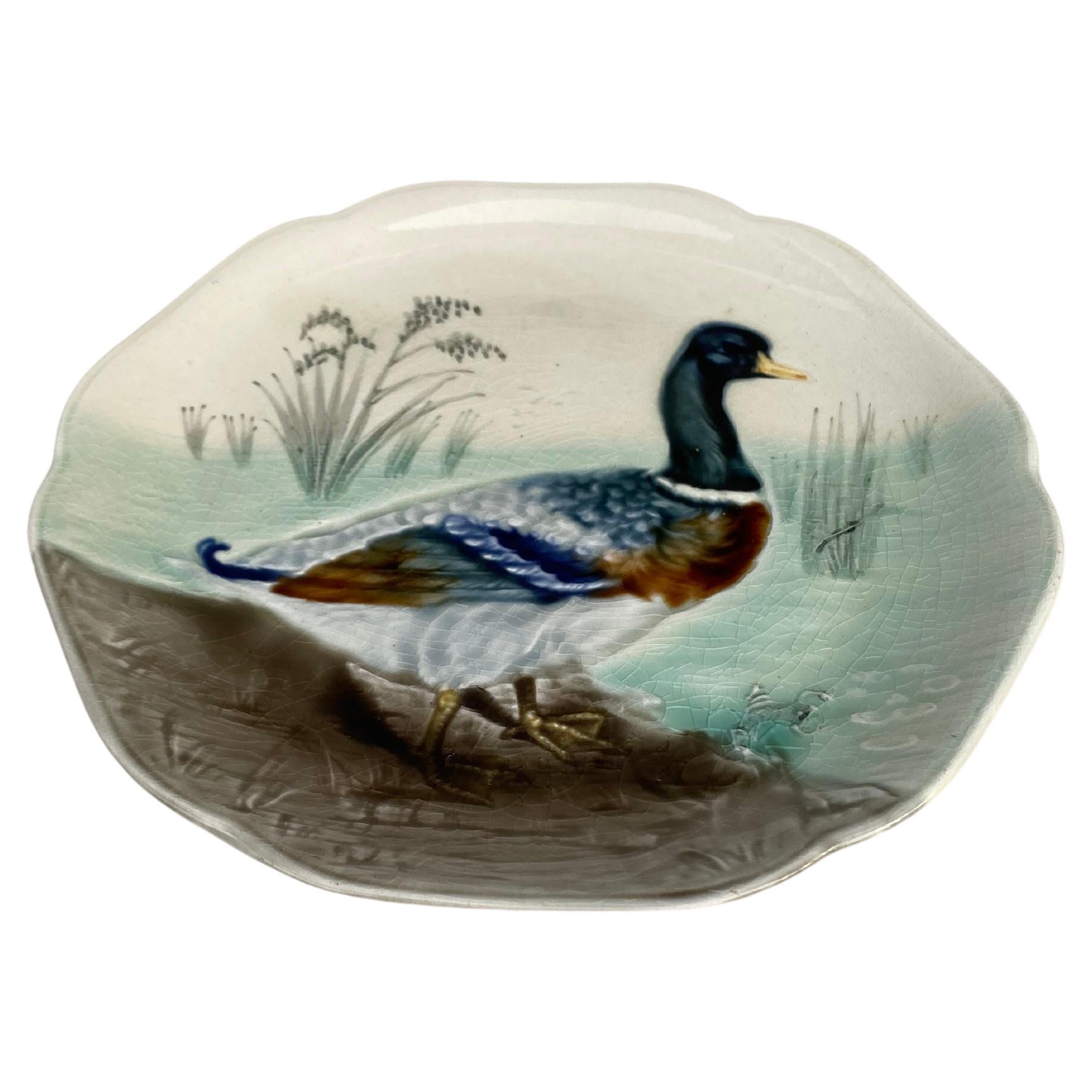 Assiette en faïence du XIXe siècle représentant un canard colvert Hippolyte Boulenger Choisy-le-Roi, vers 1890.
La manufacture de Choisy-le-Roi était l'une des plus importantes à la fin du 19ème siècle, elle produisait des céramiques de très haute