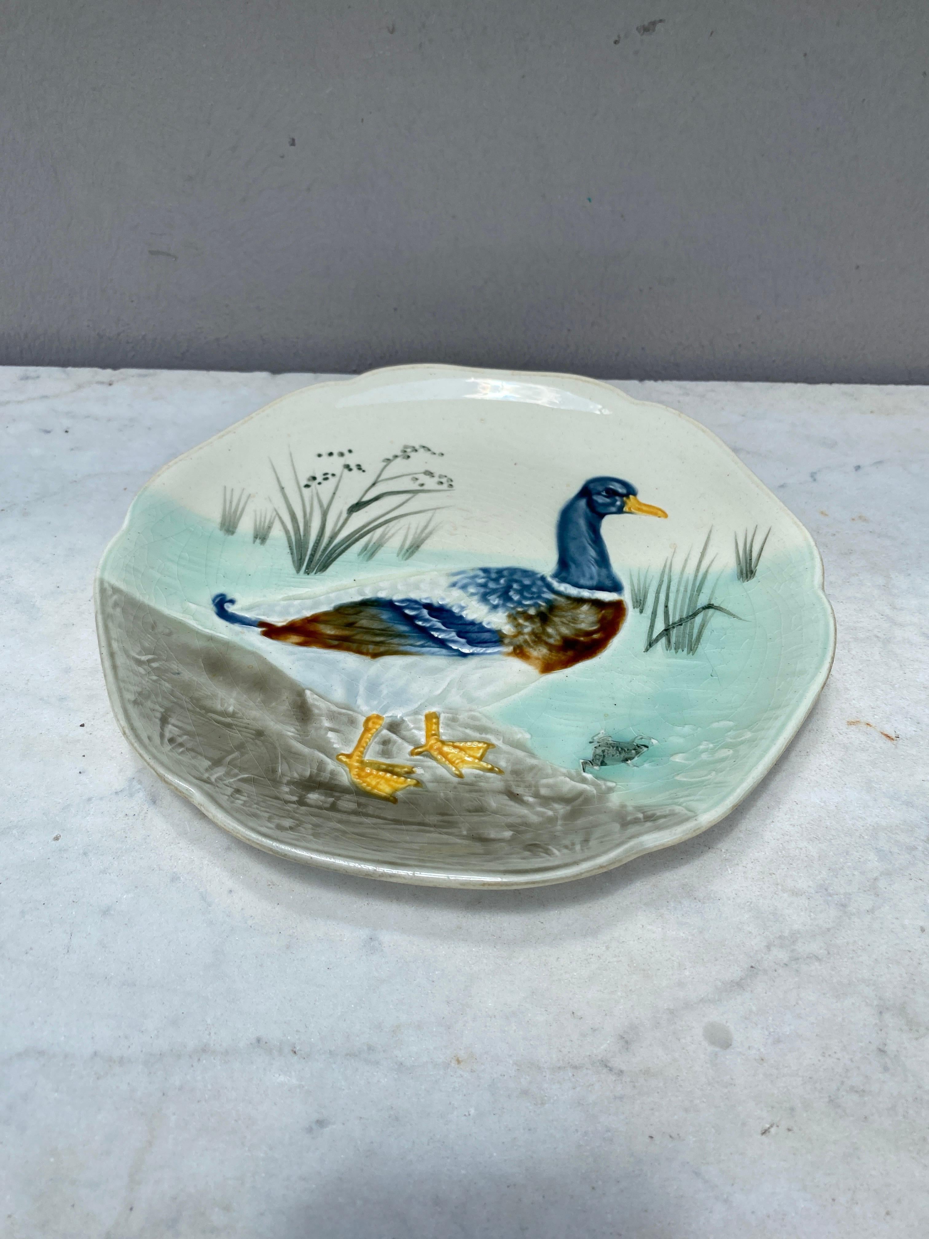 Country 19th Century Majolica Mallard Duck Plate Choisy Le Roi For Sale