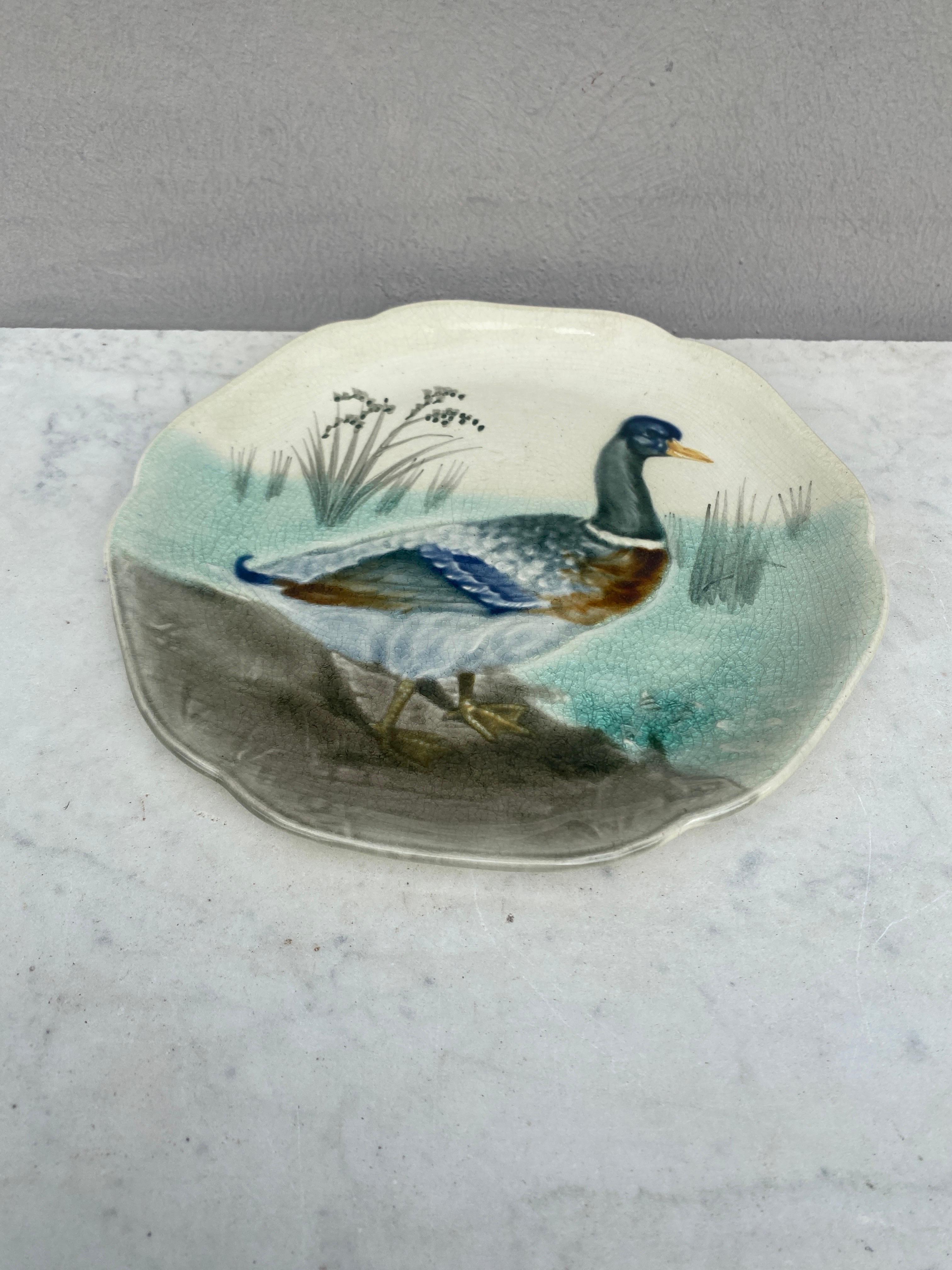 Country 19th Century Majolica Mallard Duck Plate Choisy Le Roi For Sale