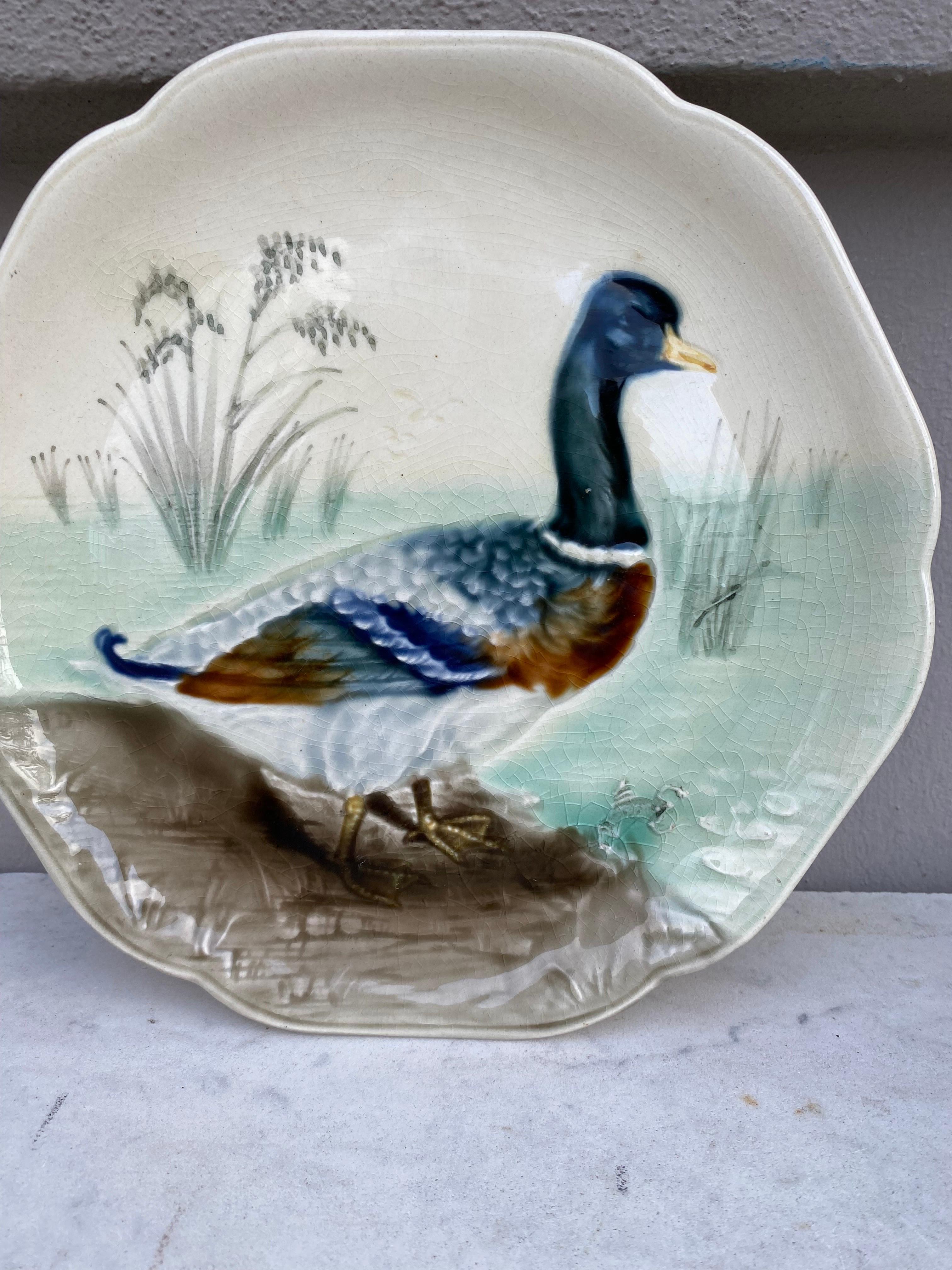 French 19th Century Majolica Mallard Duck Plate Choisy Le Roi For Sale