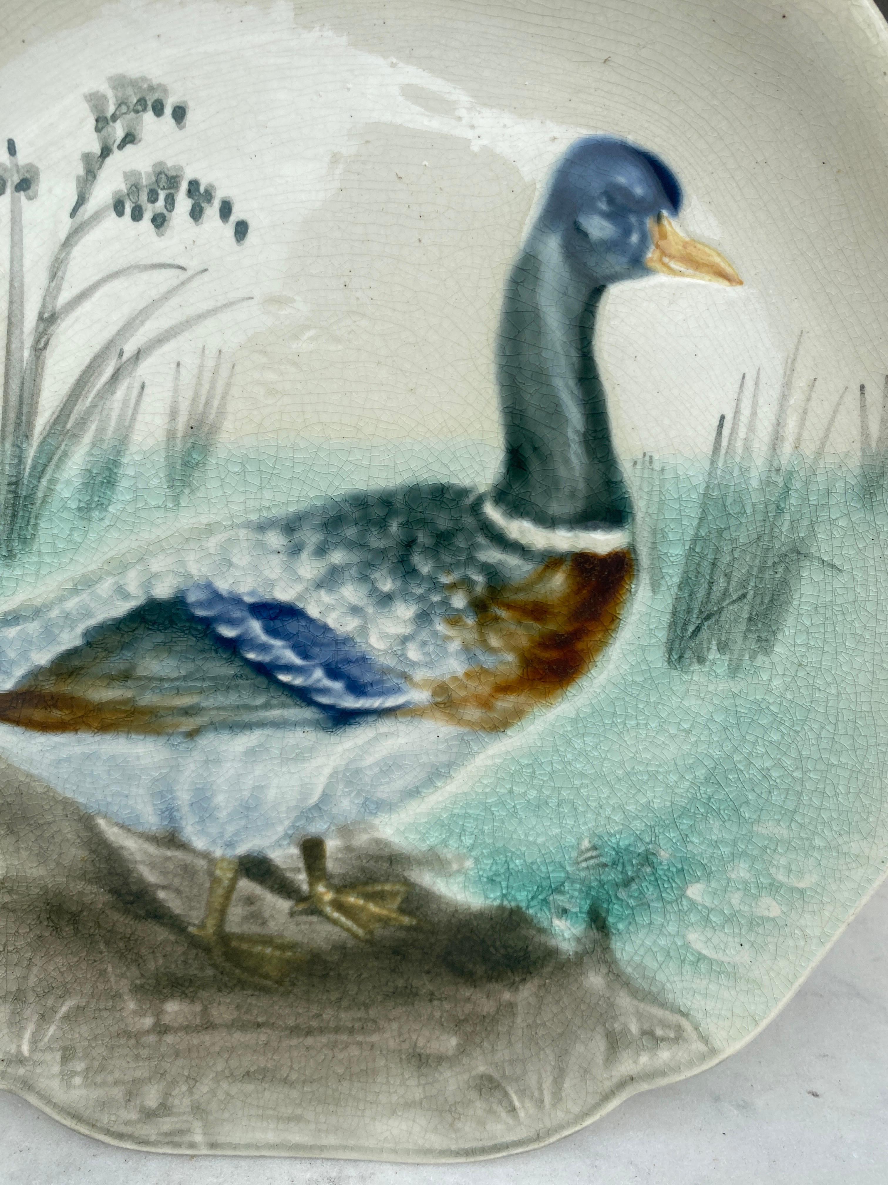 French 19th Century Majolica Mallard Duck Plate Choisy Le Roi For Sale