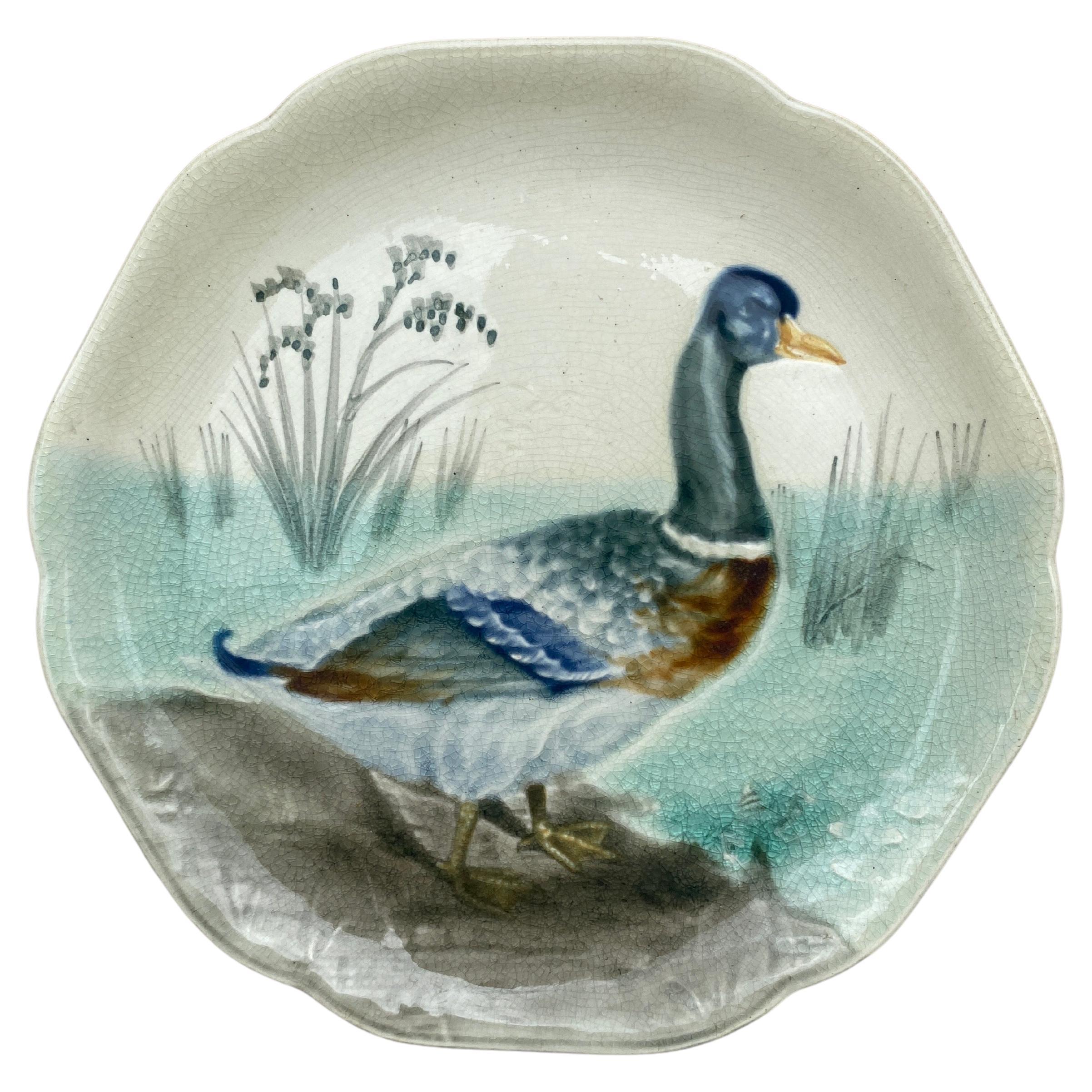 Plato de mayólica del siglo XIX con pato azulón Choisy Le Roi