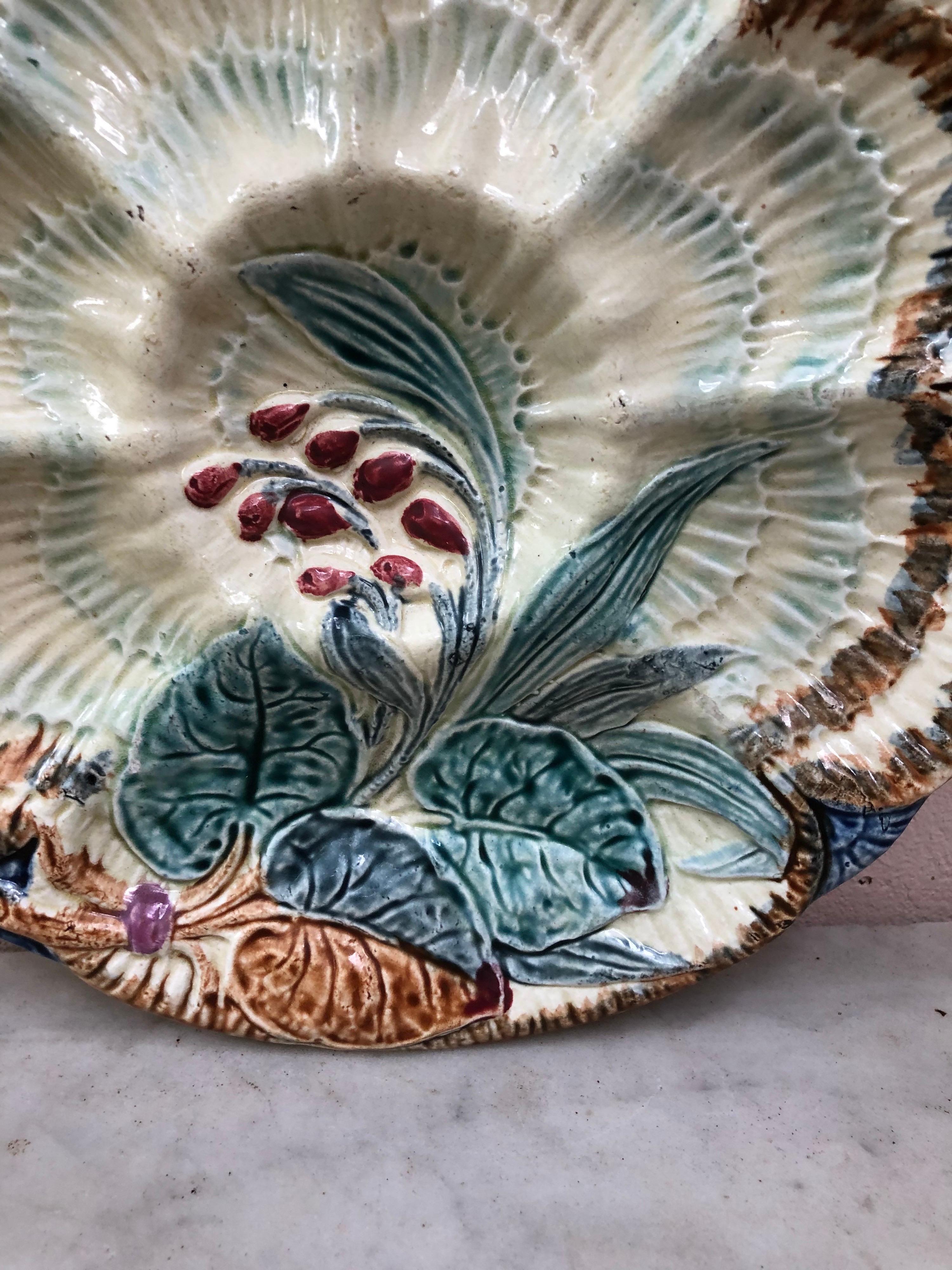 19th century Majolica oyster plate Wasmuel (Belgium) decorated with flowers.