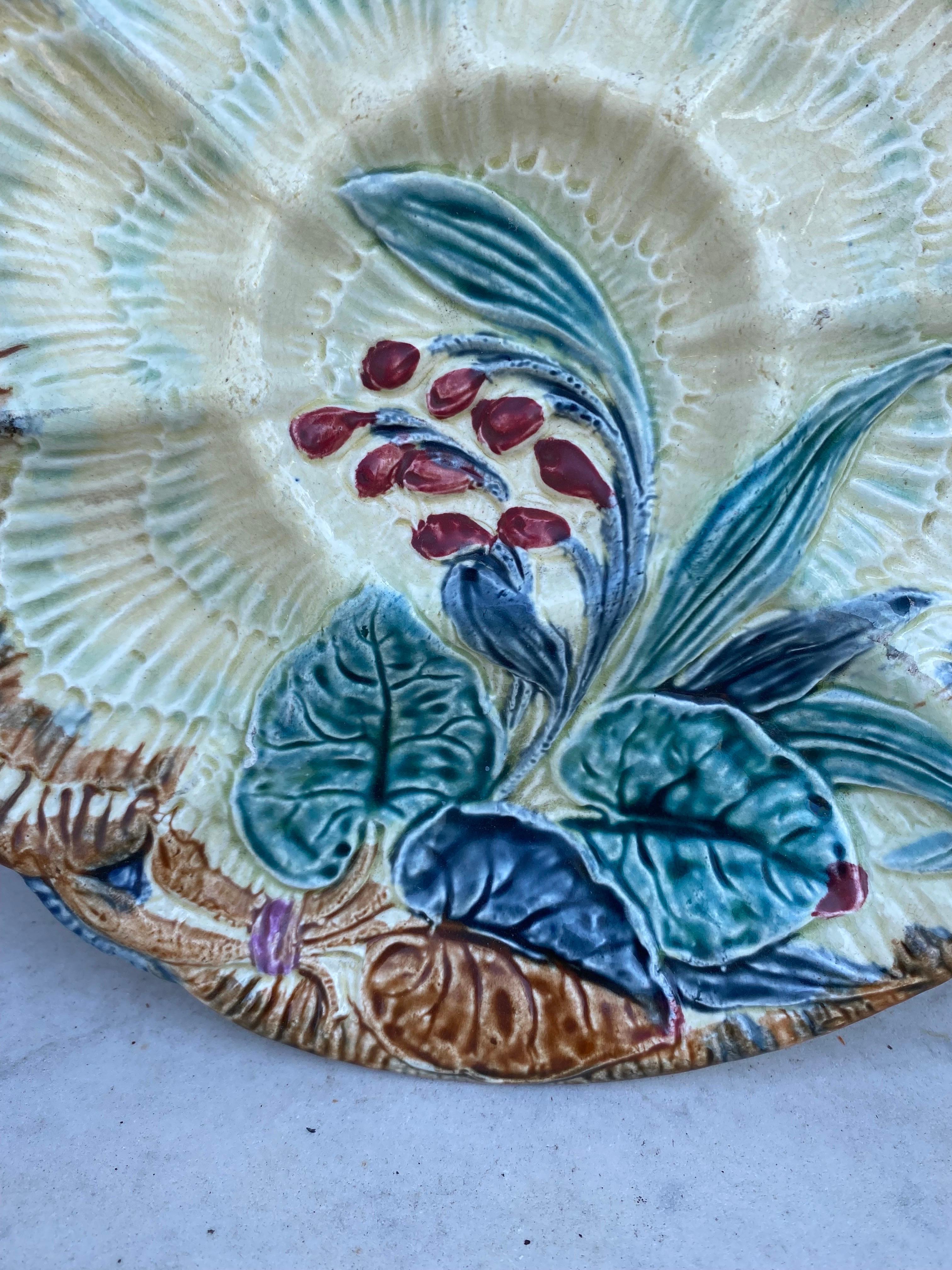 Rustic 19th Century Majolica Oyster Plate Wasmuel