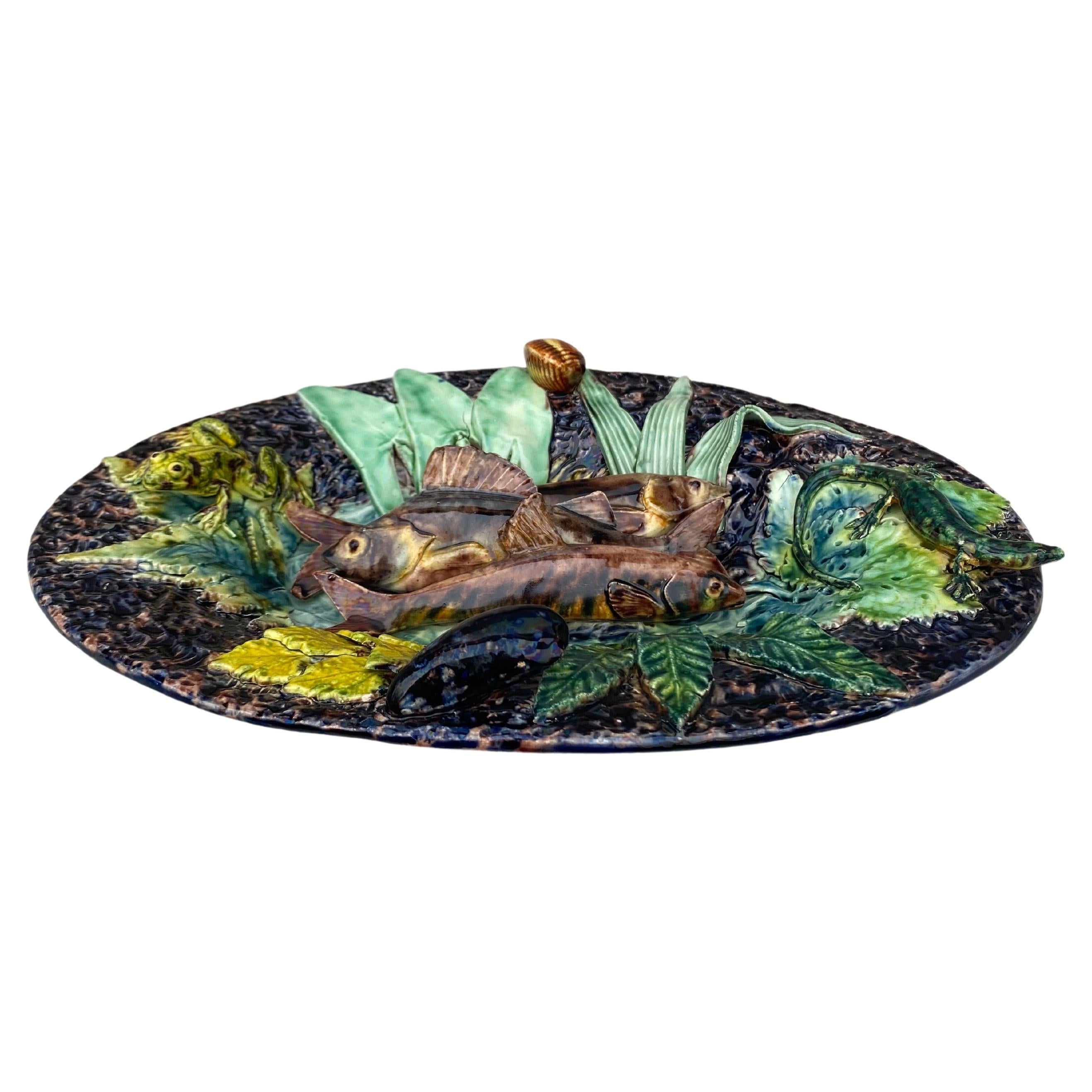19th Century Majolica Palissy Fishs platter signed Thomas Sergent.
Fishs, Frog, Lizard, mussel, shell.