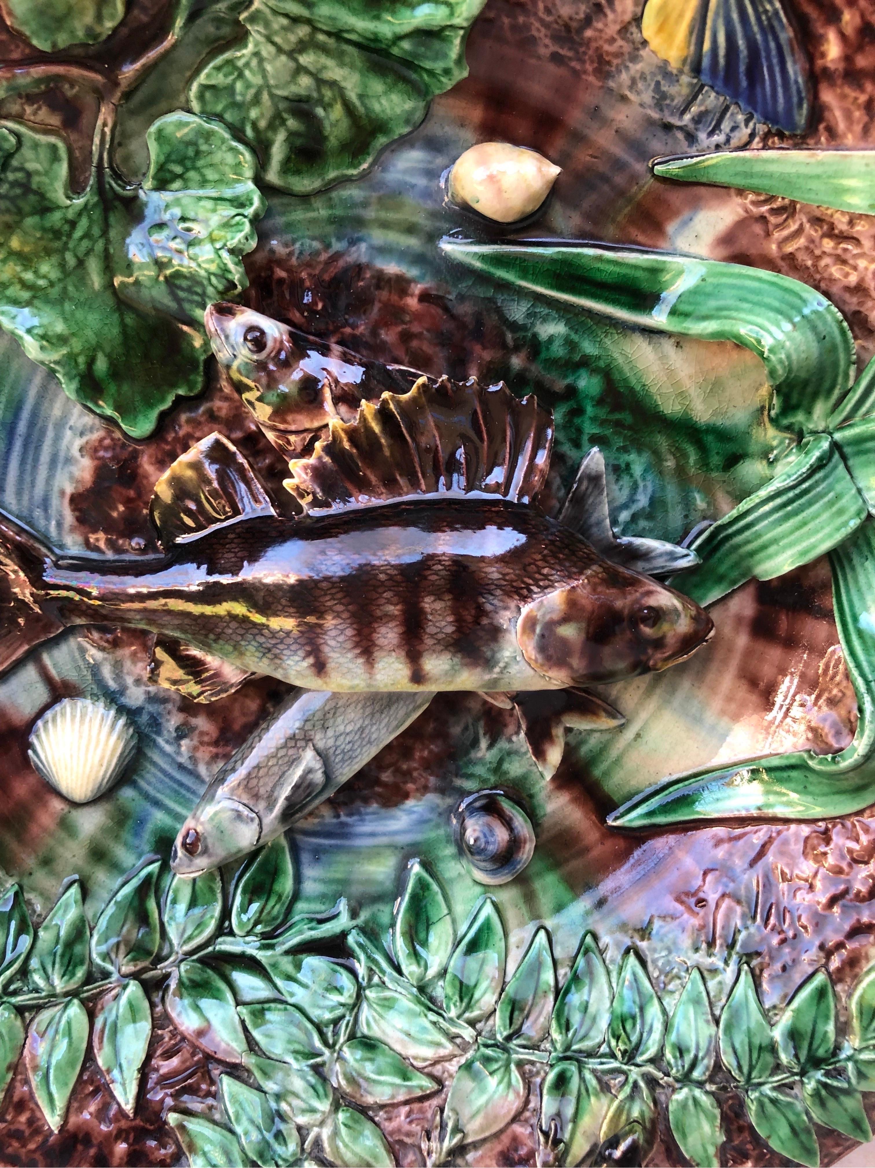 Palissy fishs wall platter on a brown background with fishs, moth, lizard, shells.
The School of Paris is composed by makers as Victor Barbizet, Francois Maurice, Thomas Sergent, Georges Pull, it's a group of ceramists who produced Palissy pieces