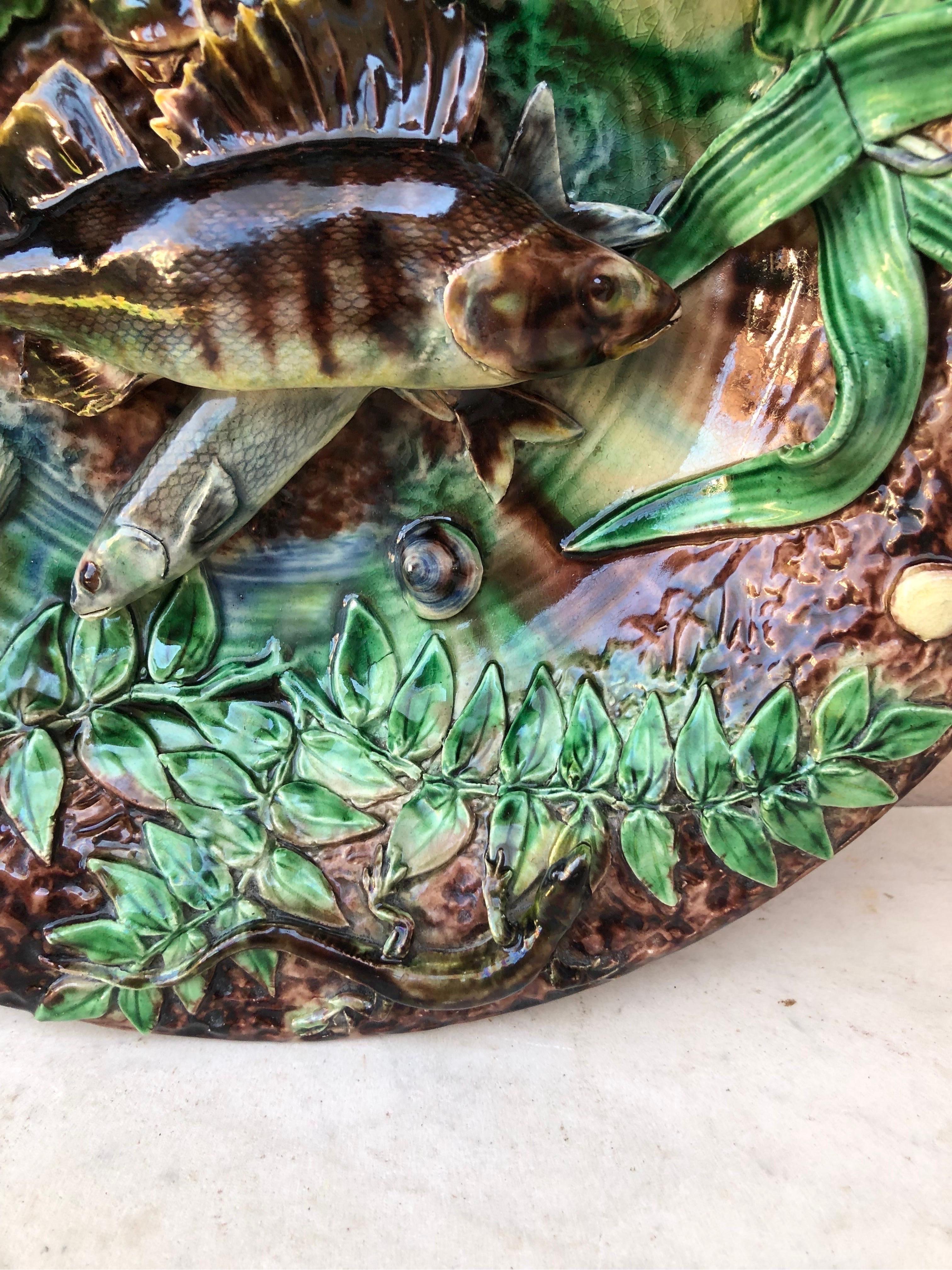 Late 19th Century 19th Century Majolica Palissy Fishs Wall Platter by Victor Barbizet For Sale