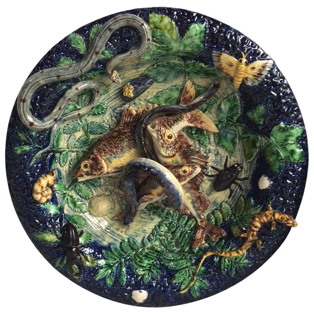 Palissy fishs wall platter on a blue background with bugs, moth, lizard, eel,snake, shells.
The School of Paris is composed by makers as Victor Barbizet, Francois Maurice, Thomas Sergent, Georges Pull, it's a group of ceramists who produced Palissy