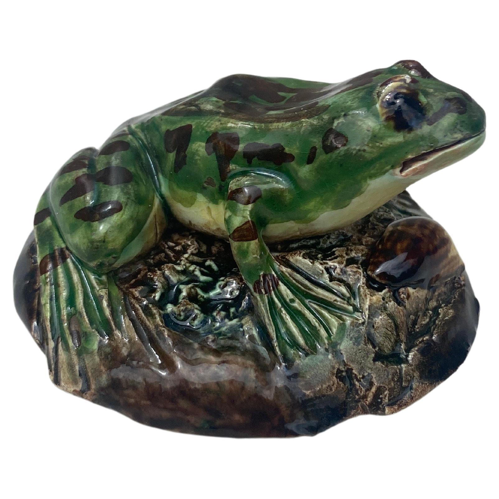 Country 19th Century Majolica Palissy Frog Paperweight