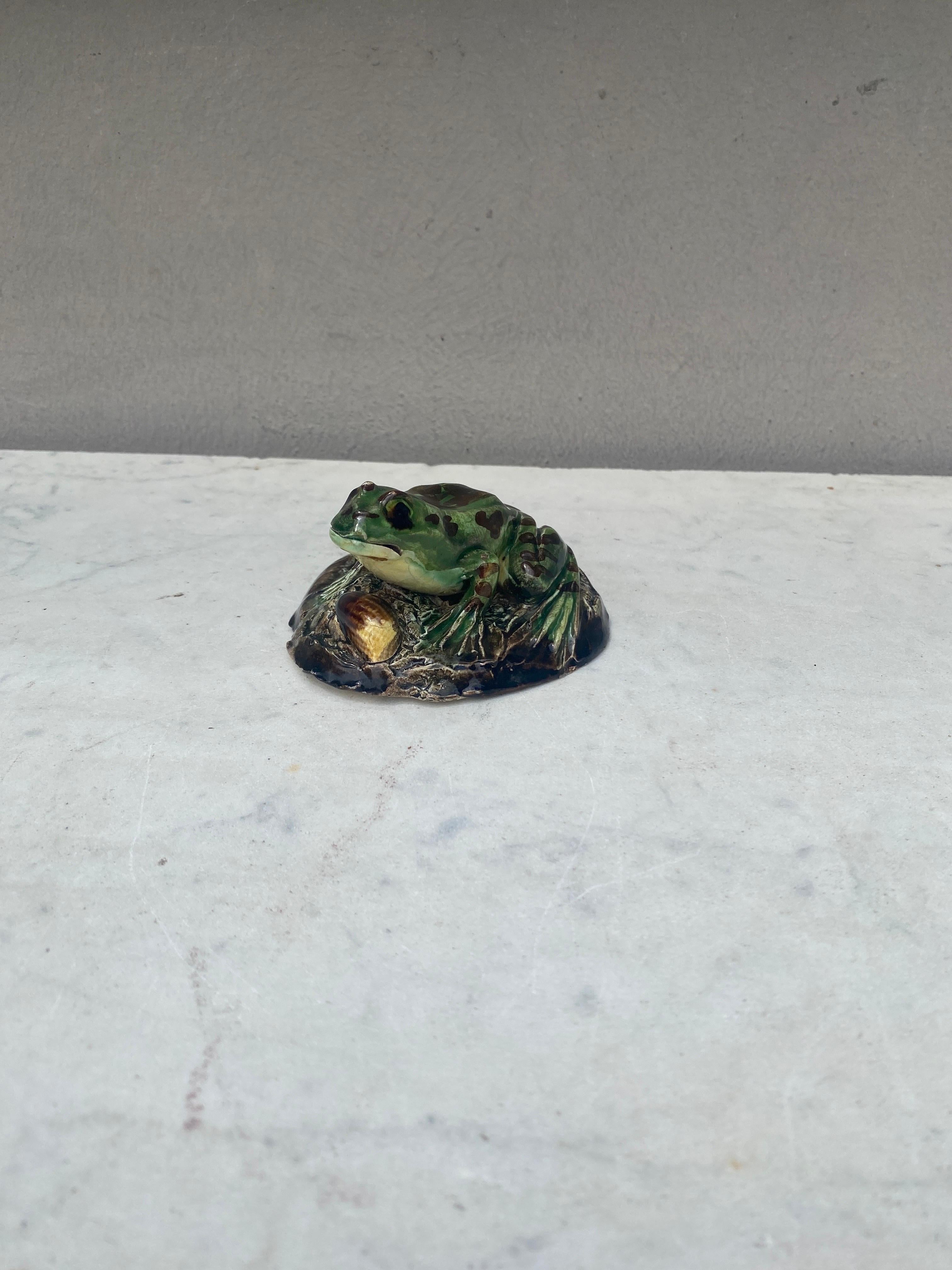 French 19th Century Majolica Palissy Frog Paperweight