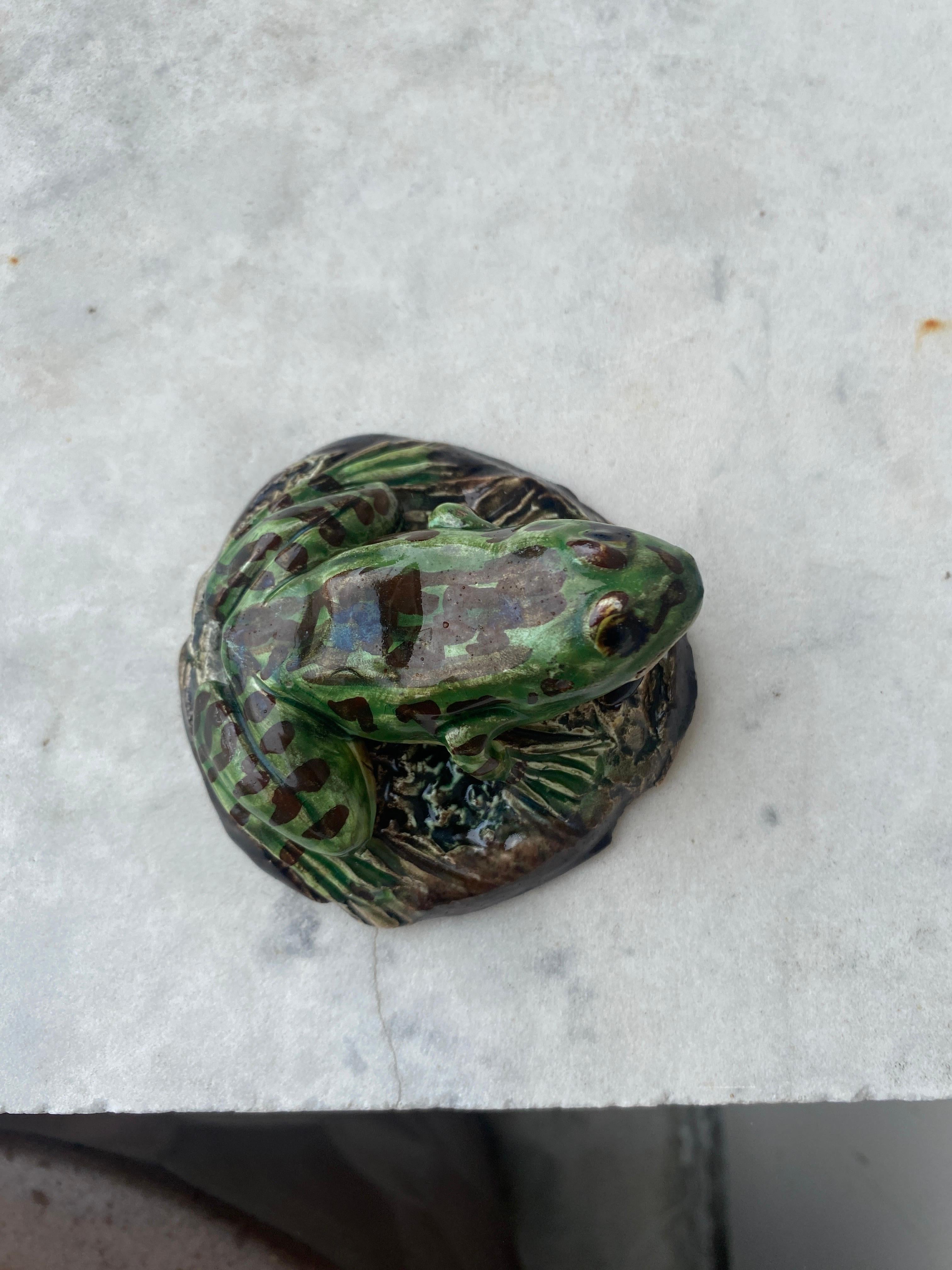 19th Century Majolica Palissy Frog Paperweight In Good Condition In Austin, TX