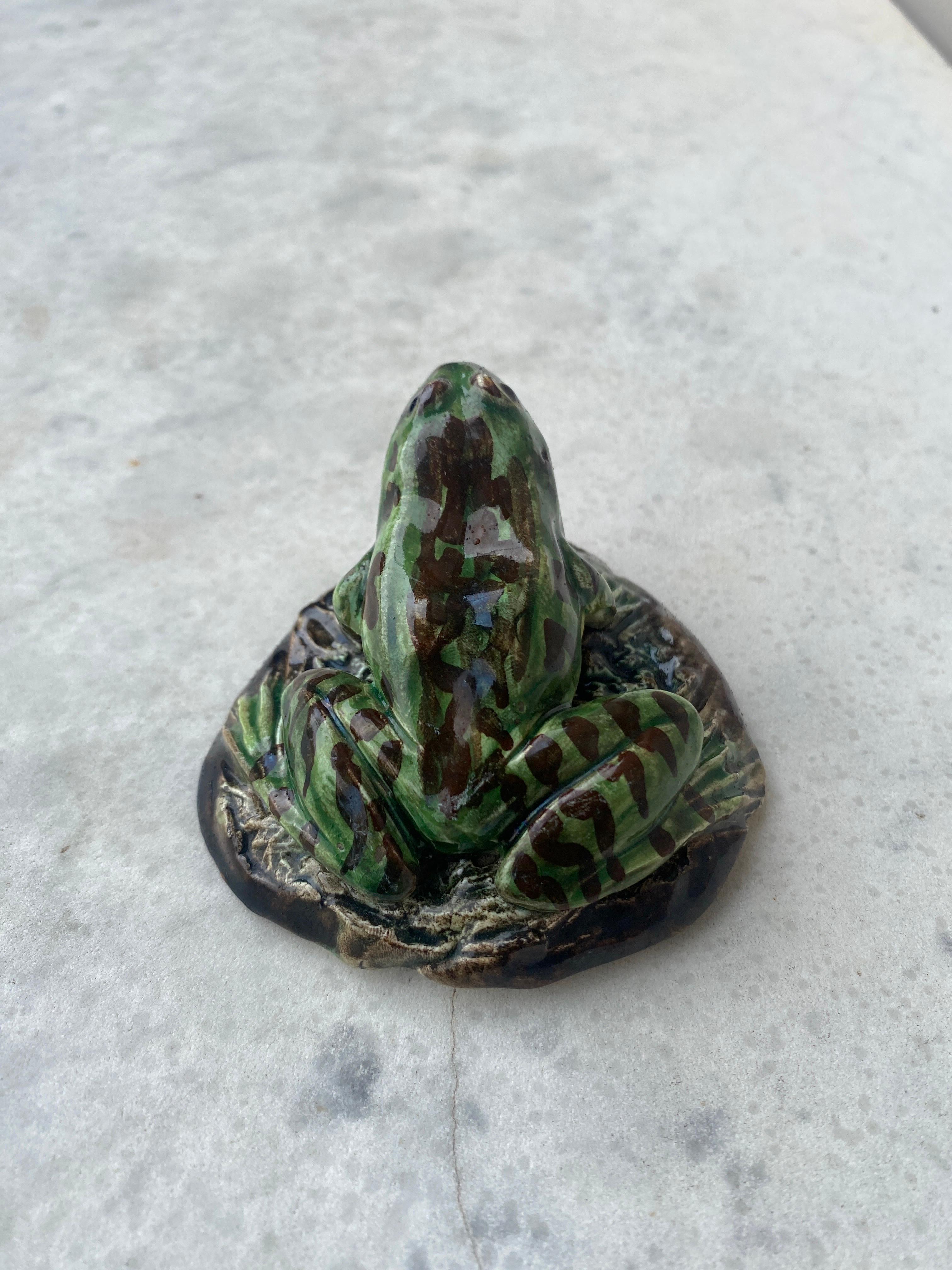 Late 19th Century 19th Century Majolica Palissy Frog Paperweight