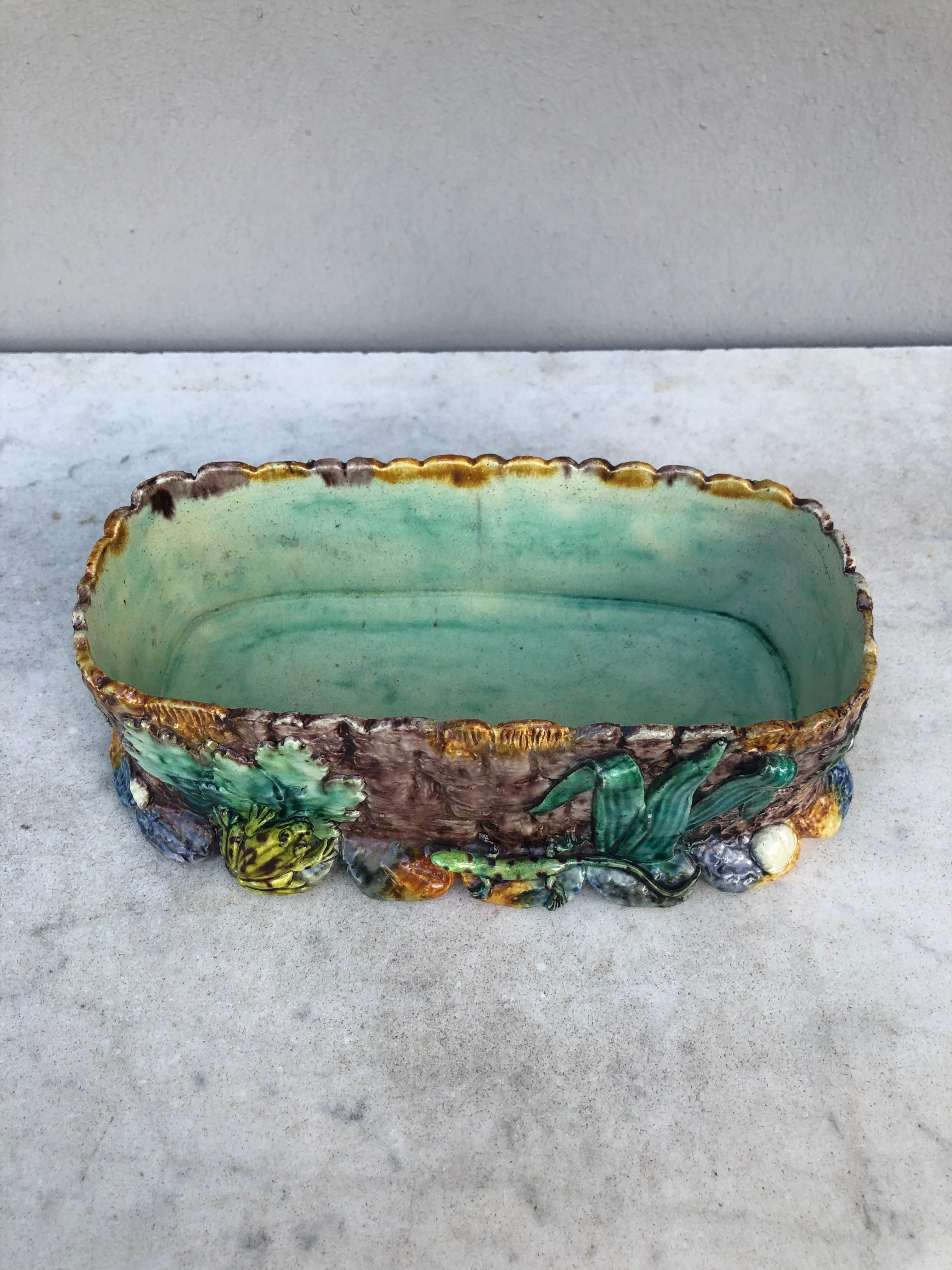 Jardinière Palissy de Thomas Sergent du 19ème siècle en vente 2