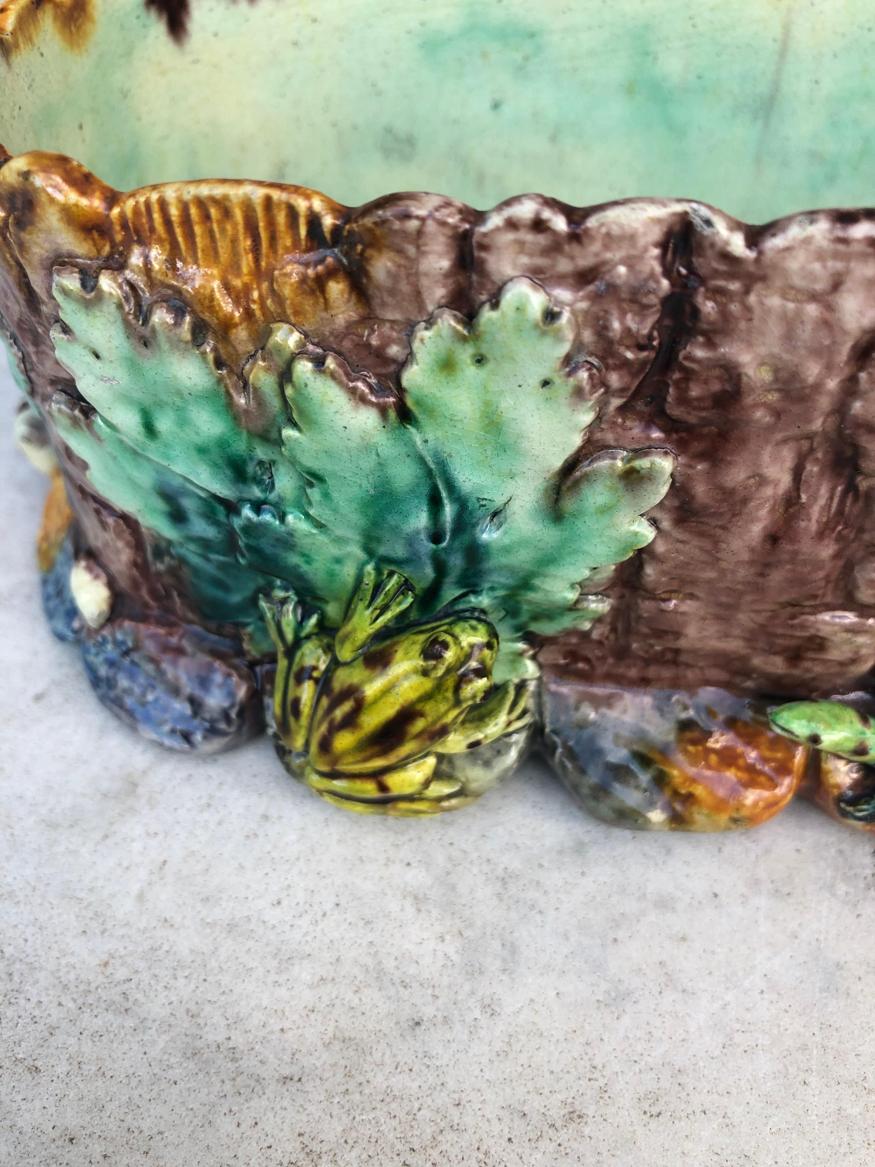 Jardinière Palissy de Thomas Sergent du 19ème siècle Bon état - En vente à Austin, TX