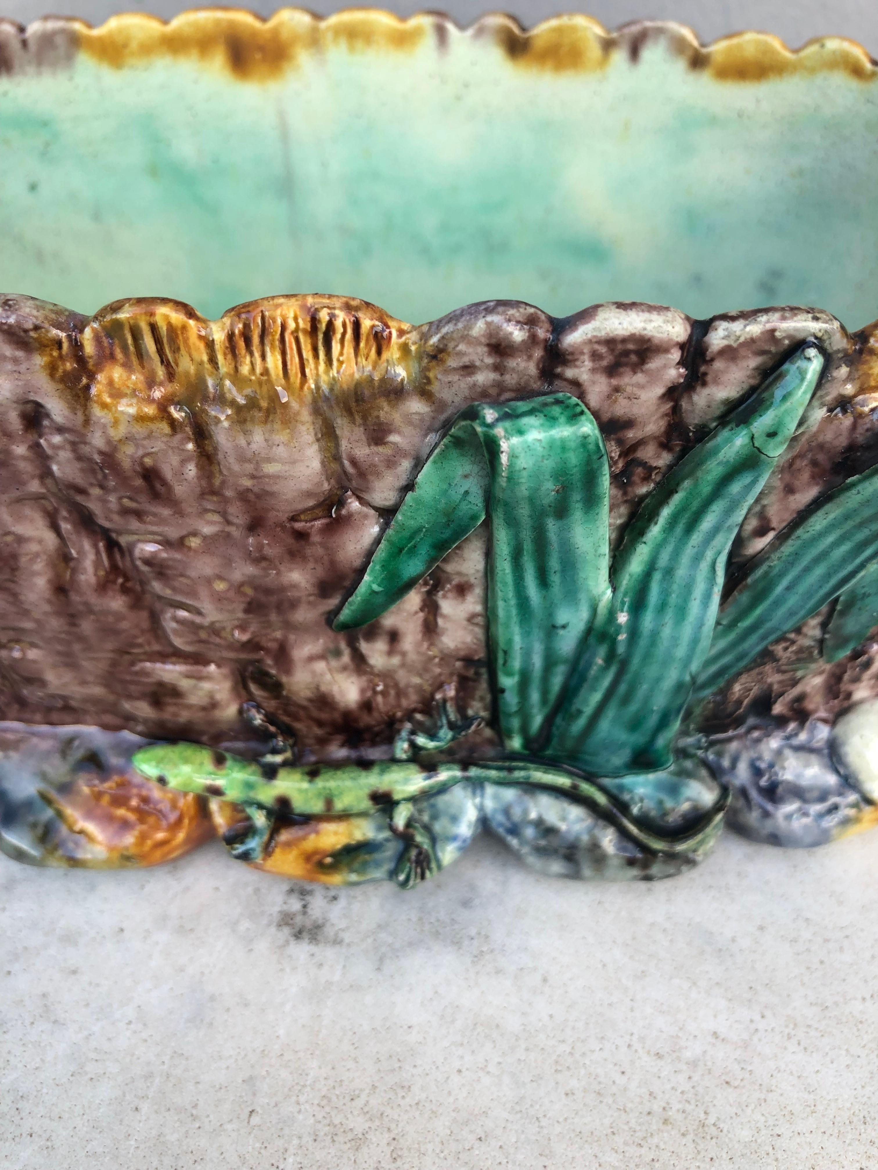 Céramique Jardinière Palissy de Thomas Sergent du 19ème siècle en vente