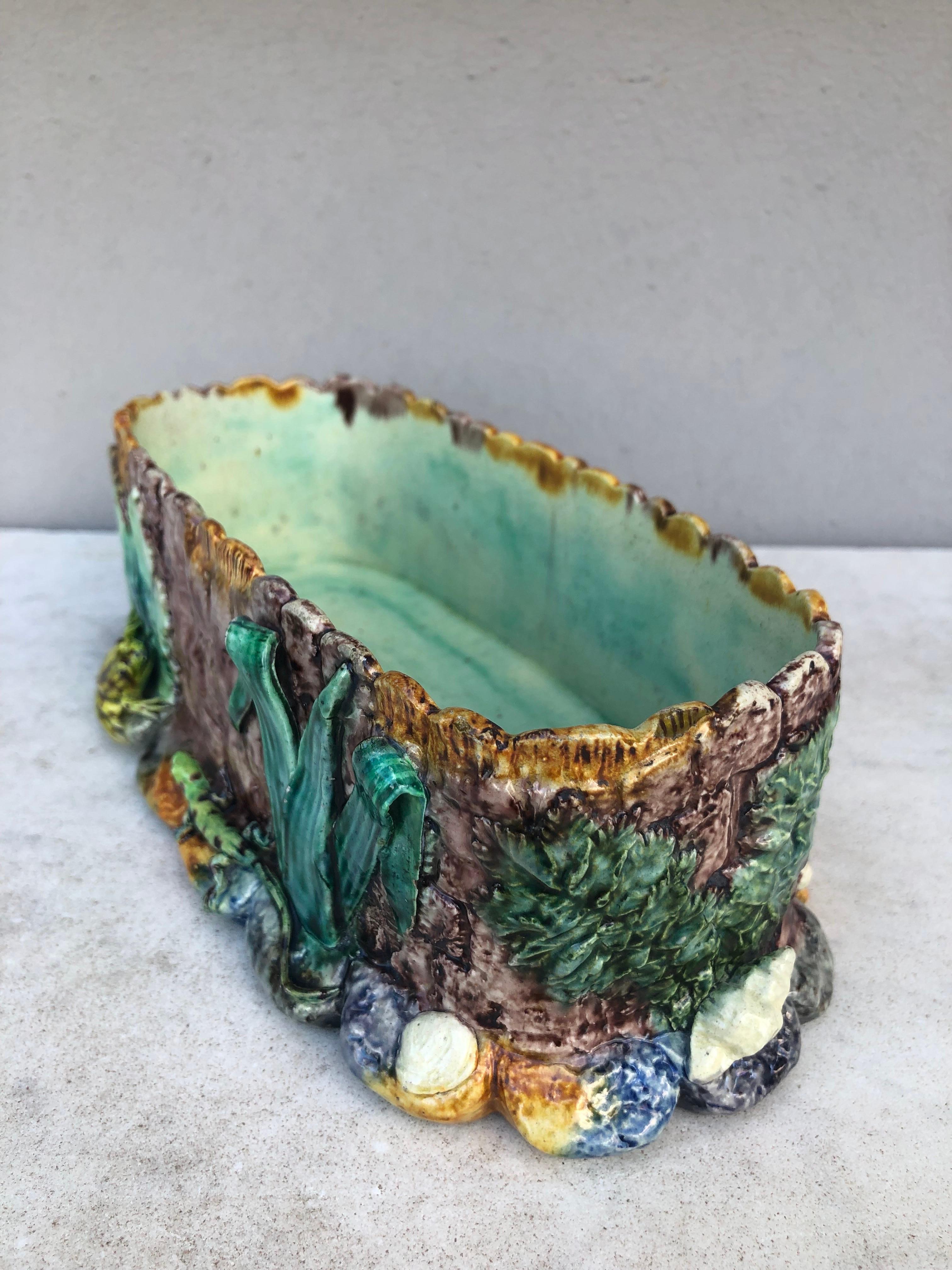 Jardinière Palissy de Thomas Sergent du 19ème siècle en vente 1