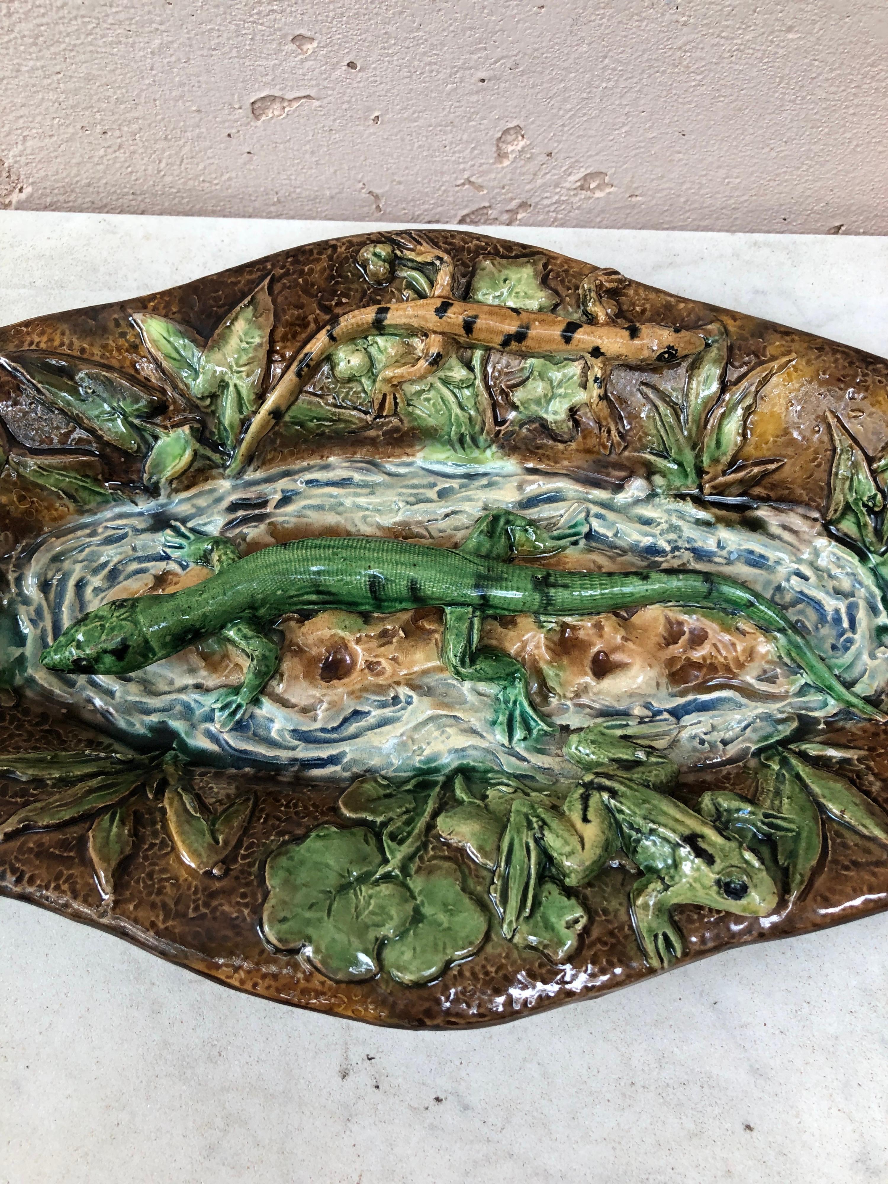 Piatto da parete ovale in maiolica Palissy del XIX secolo firmato Alfred Renoleau.
2 lucertole, conchiglie e rana.
 