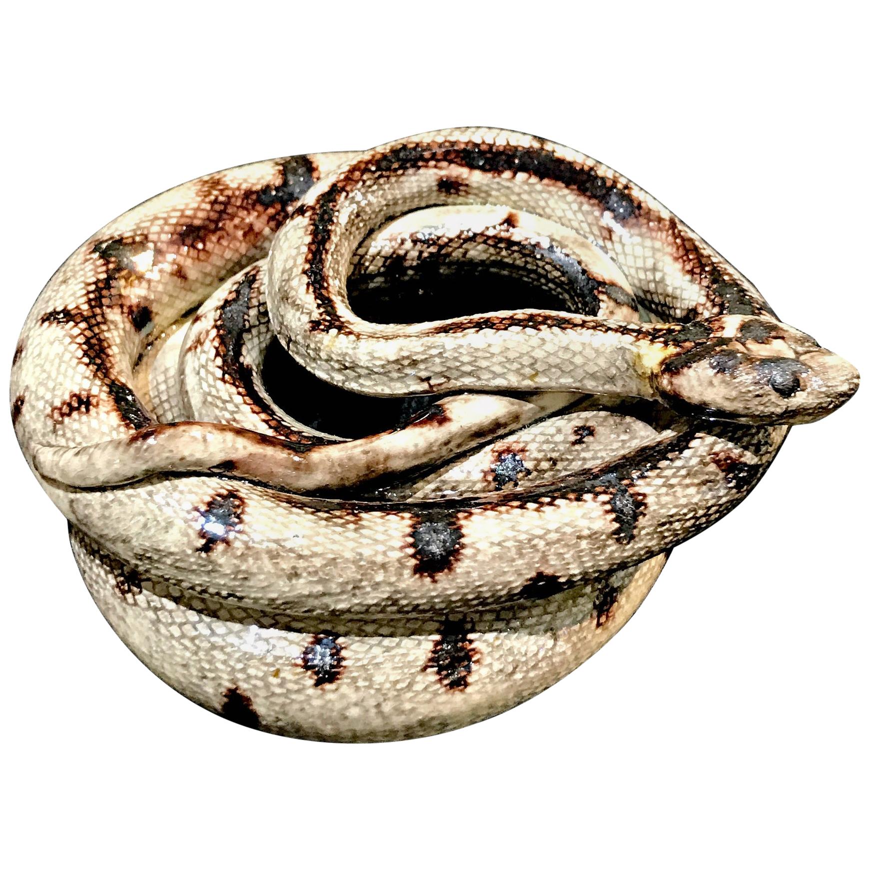 19th Century Majolica Palissy Snake Figural circa 1860 George Pull