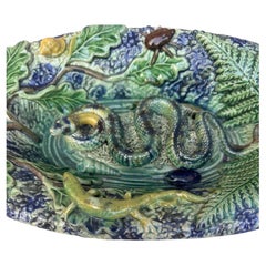 19th Century Majolica Palissy Snake Wall Platter