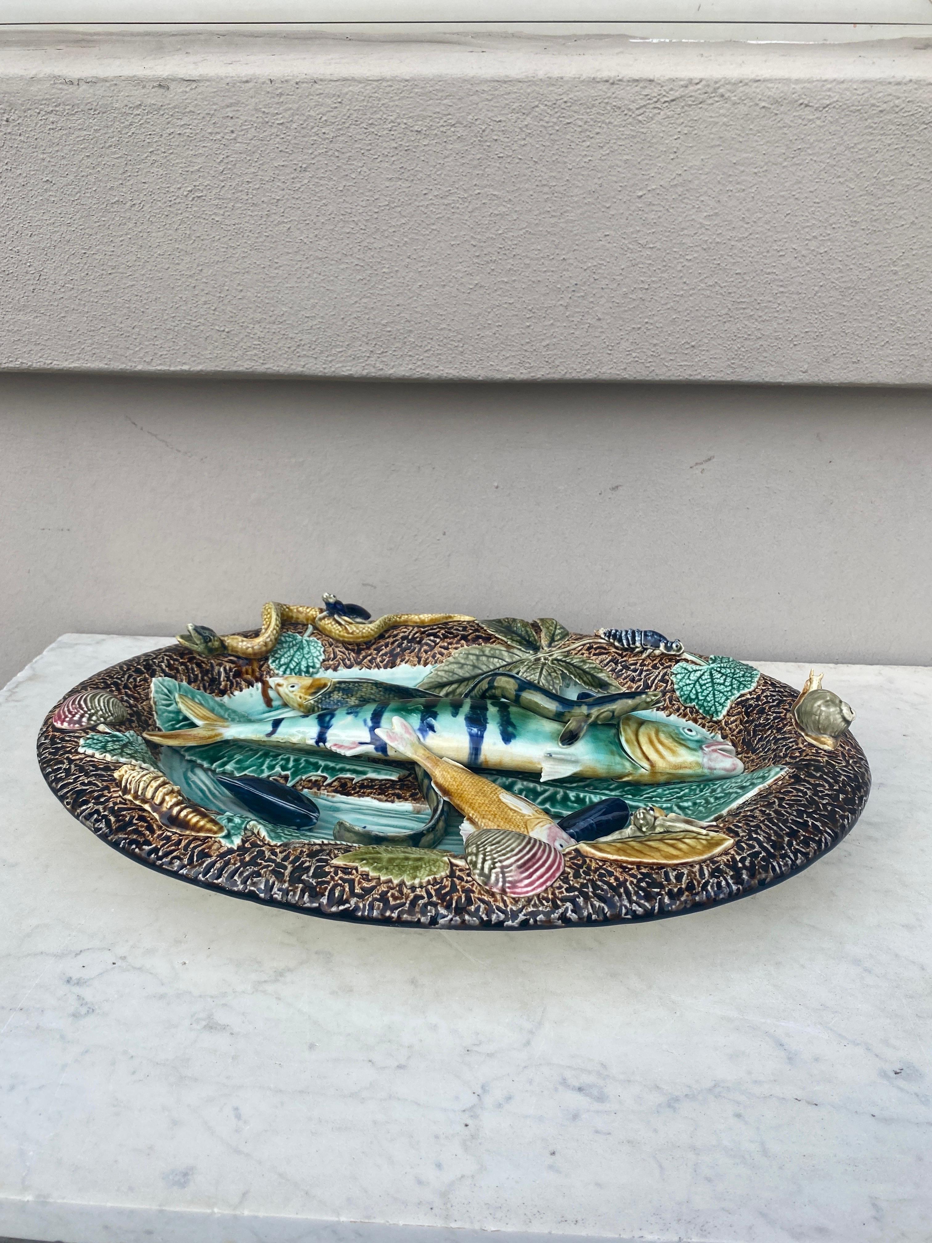French 19th Century Majolica Palissy Wall Fish Platter Choisy Le Roi For Sale