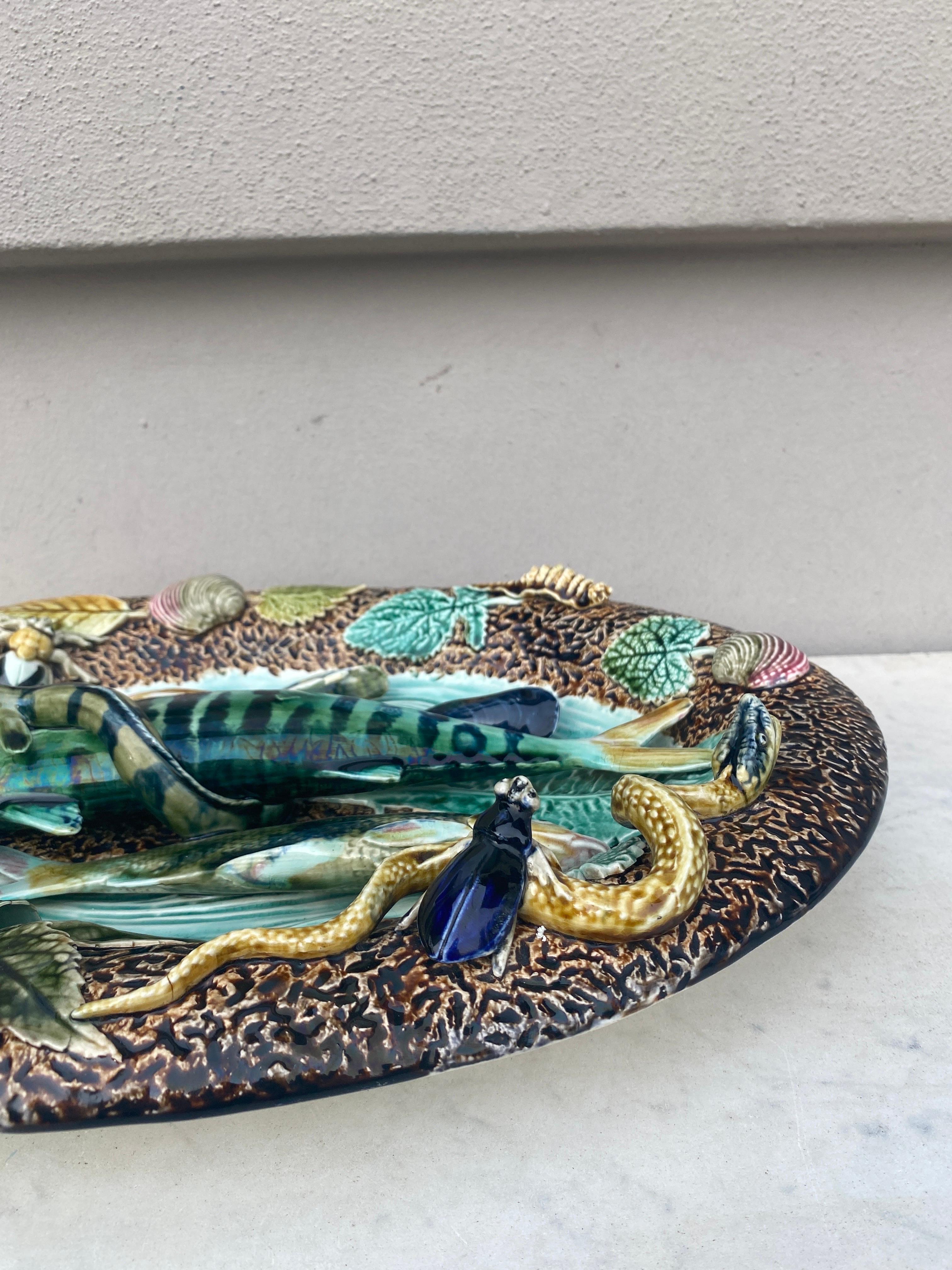 Ceramic 19th Century Majolica Palissy Wall Fish Platter Choisy Le Roi For Sale