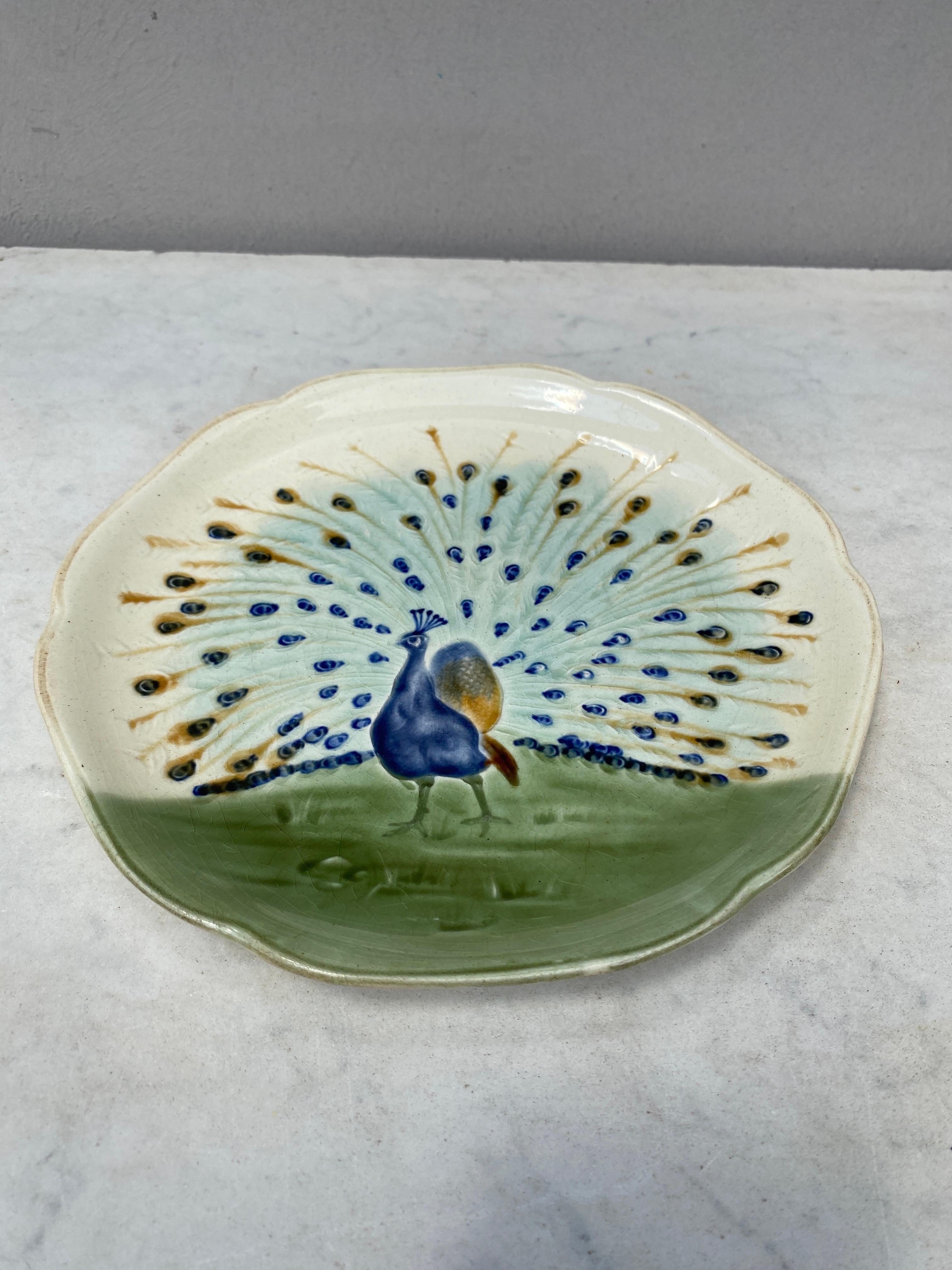 peacock plates