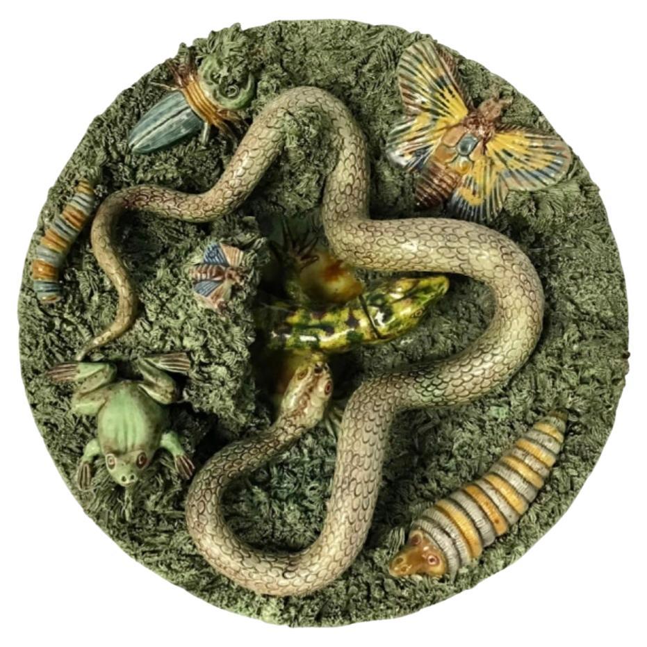 serpent en portugais
