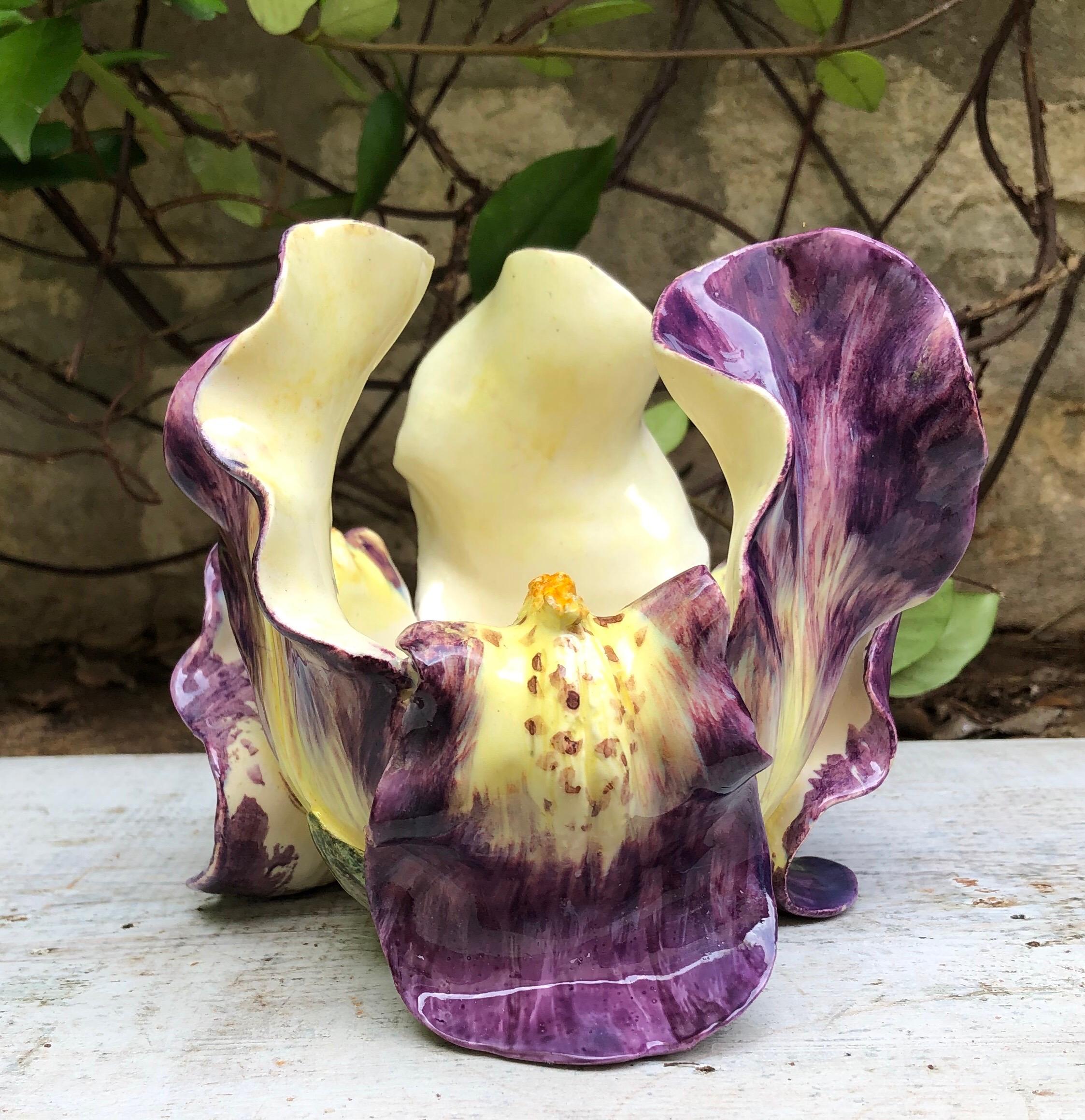 Rare 19th century Majolica Purple iris cache pot signed Delphin Massier.
The Massier family are known for the quality of their unique enamels and paintings. They produced an incredible whole range of flowers like iris, roses, daisies, wild roses,