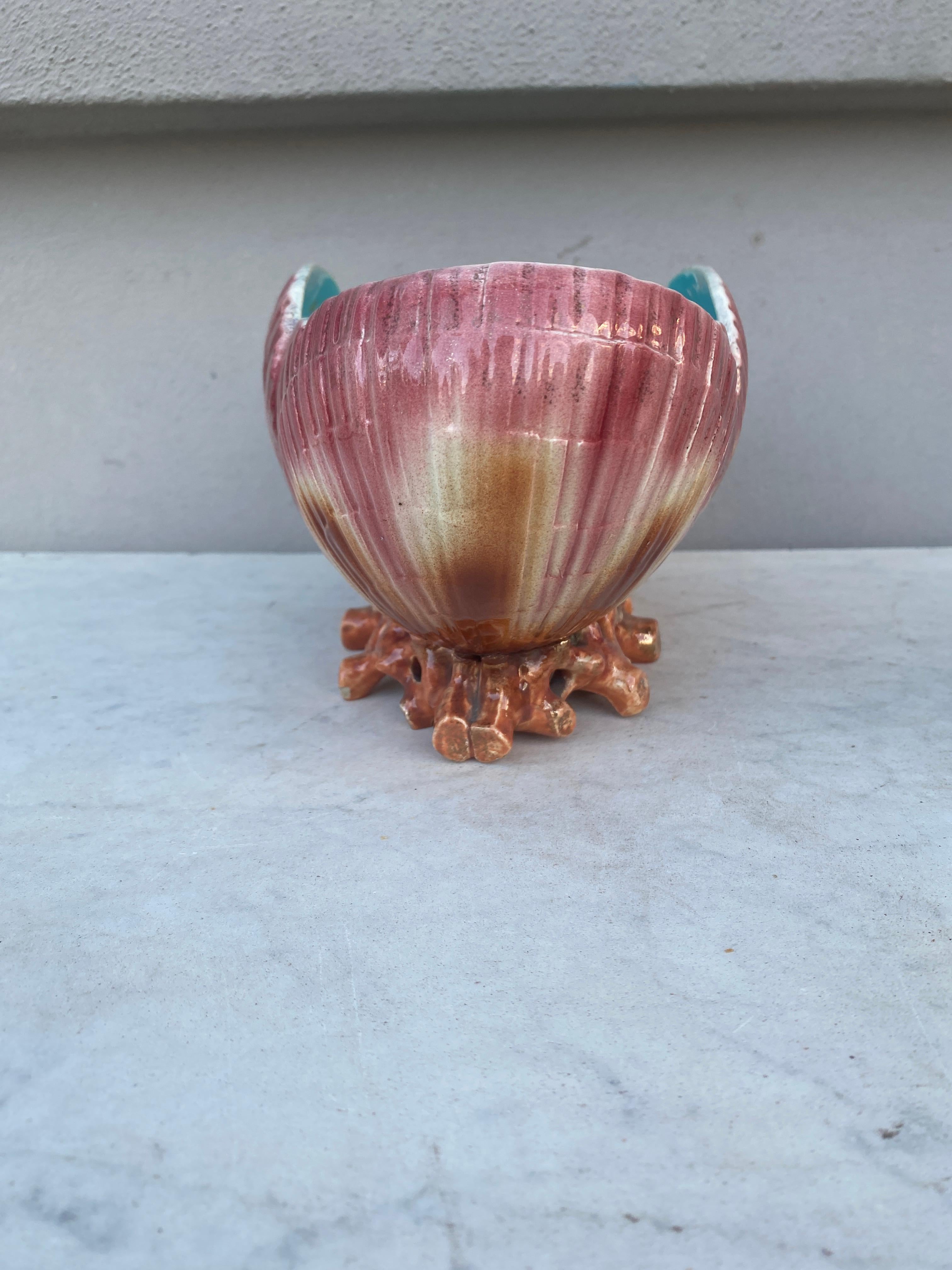 French 19th Century Majolica Shell Jardiniere Sarreguemines For Sale
