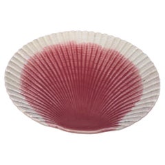 19th Century Majolica Shell Plate Sarreguemines