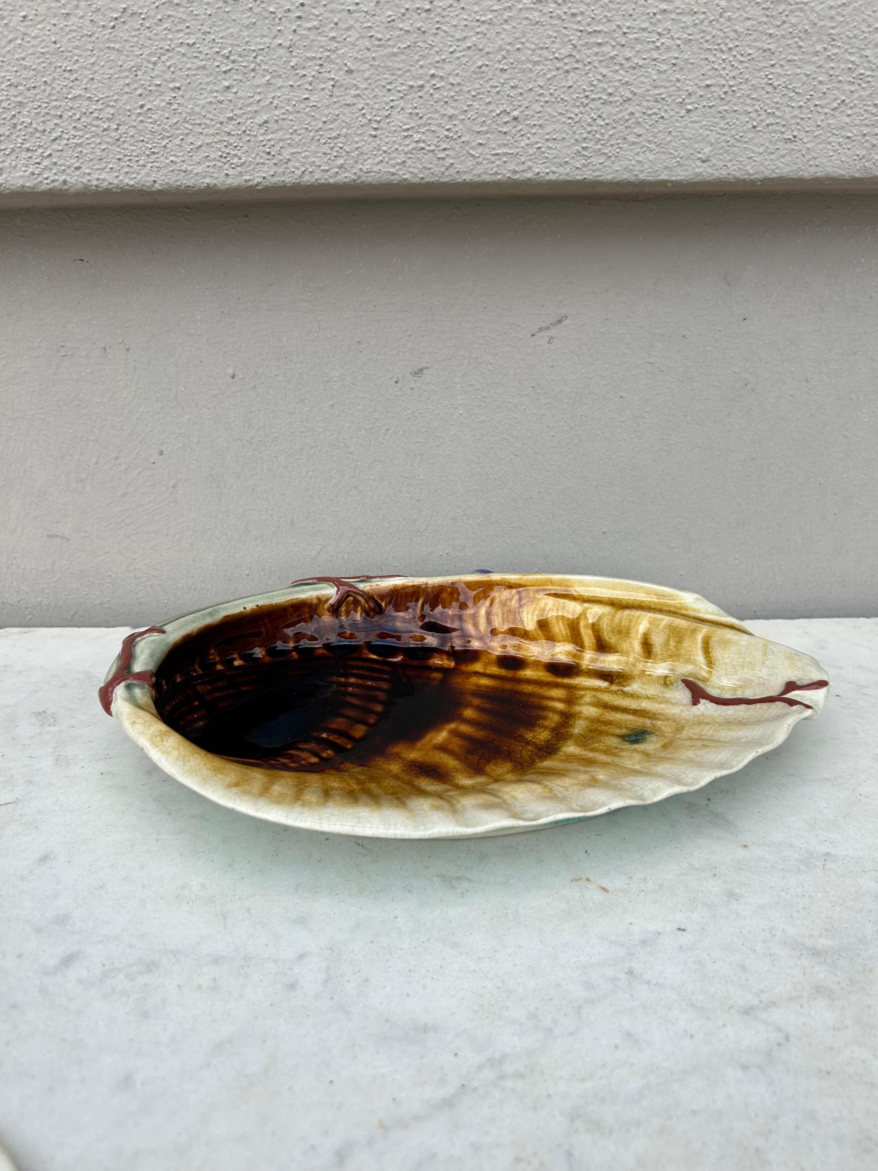 19th Century Majolica Shell platter Choisy Le Roi.