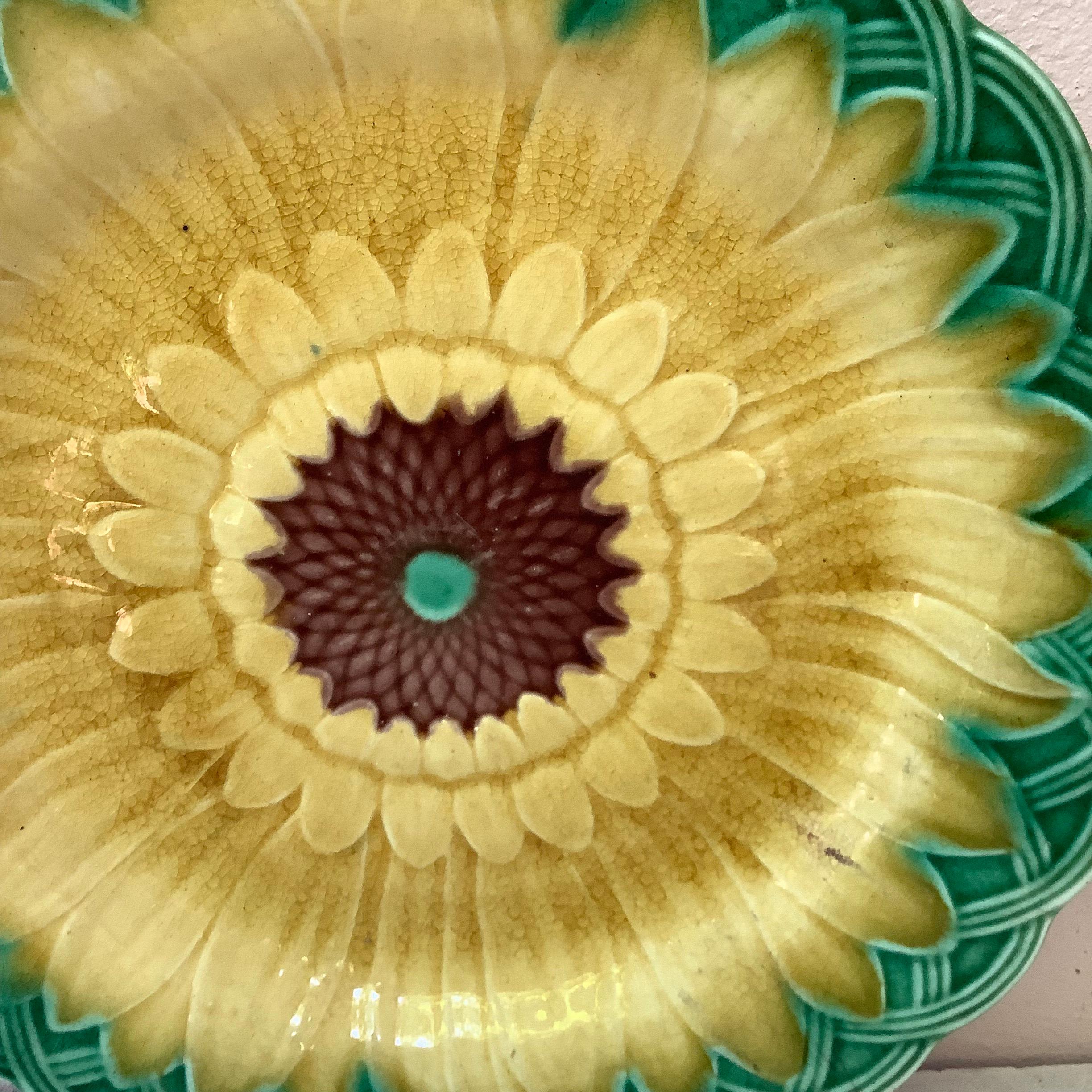 19th century Victorian Majolica sunflower plate signed Wedgwood.