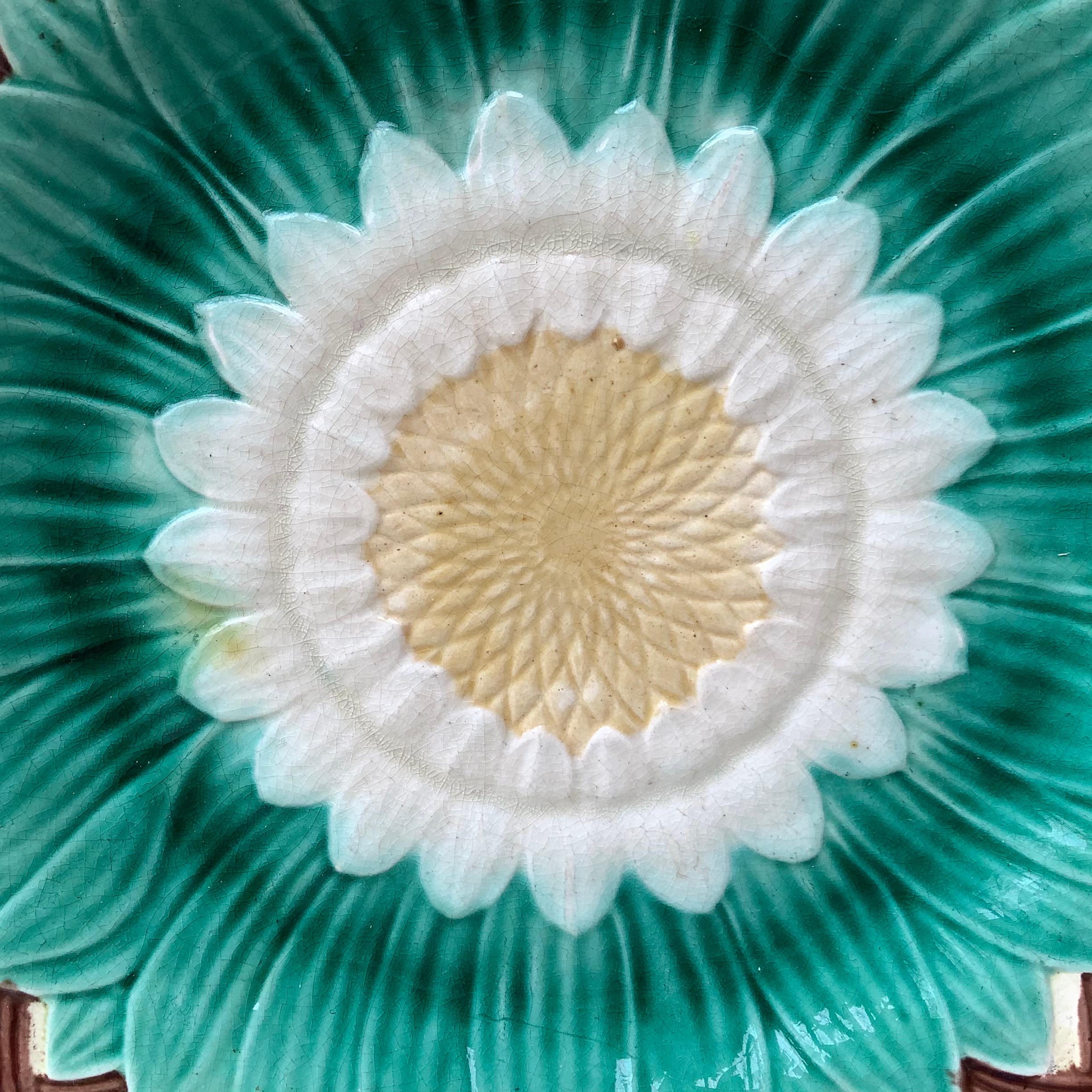 19th century Victorian Majolica sunflower plate Wedgwood.