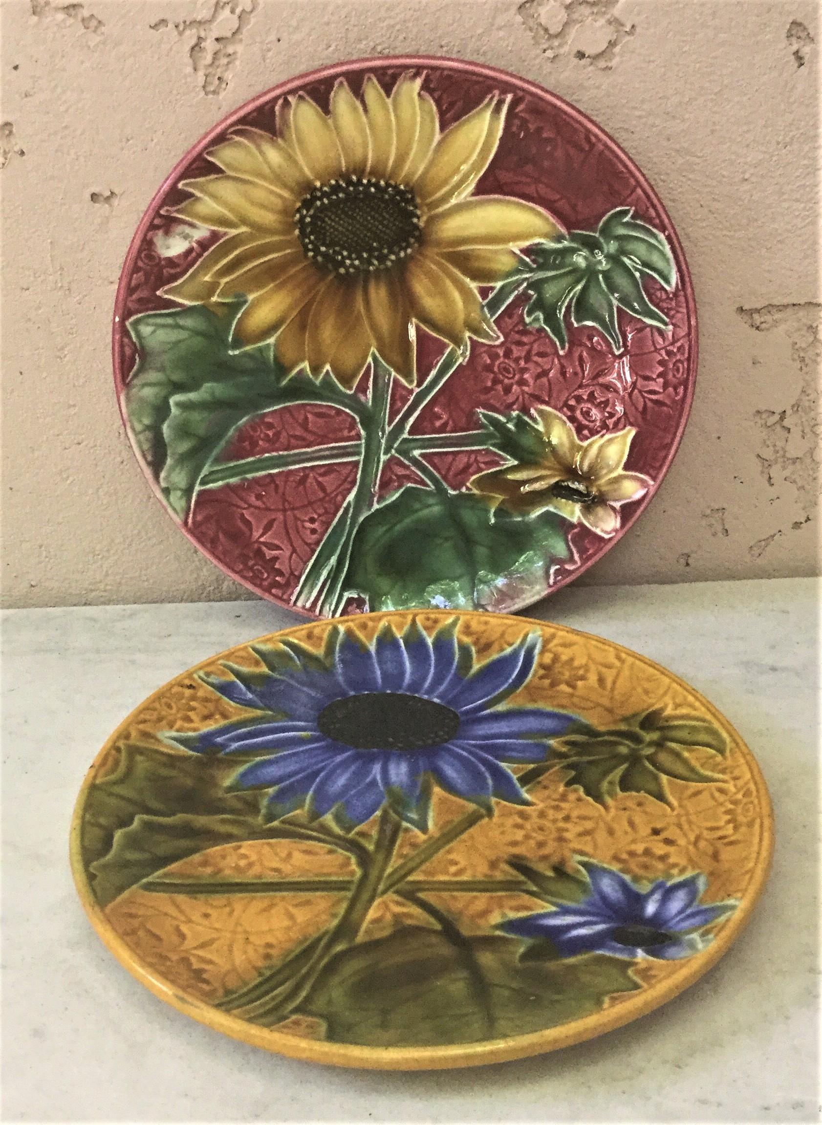 British 19th Century Majolica Sunflower Plate Wedgwood
