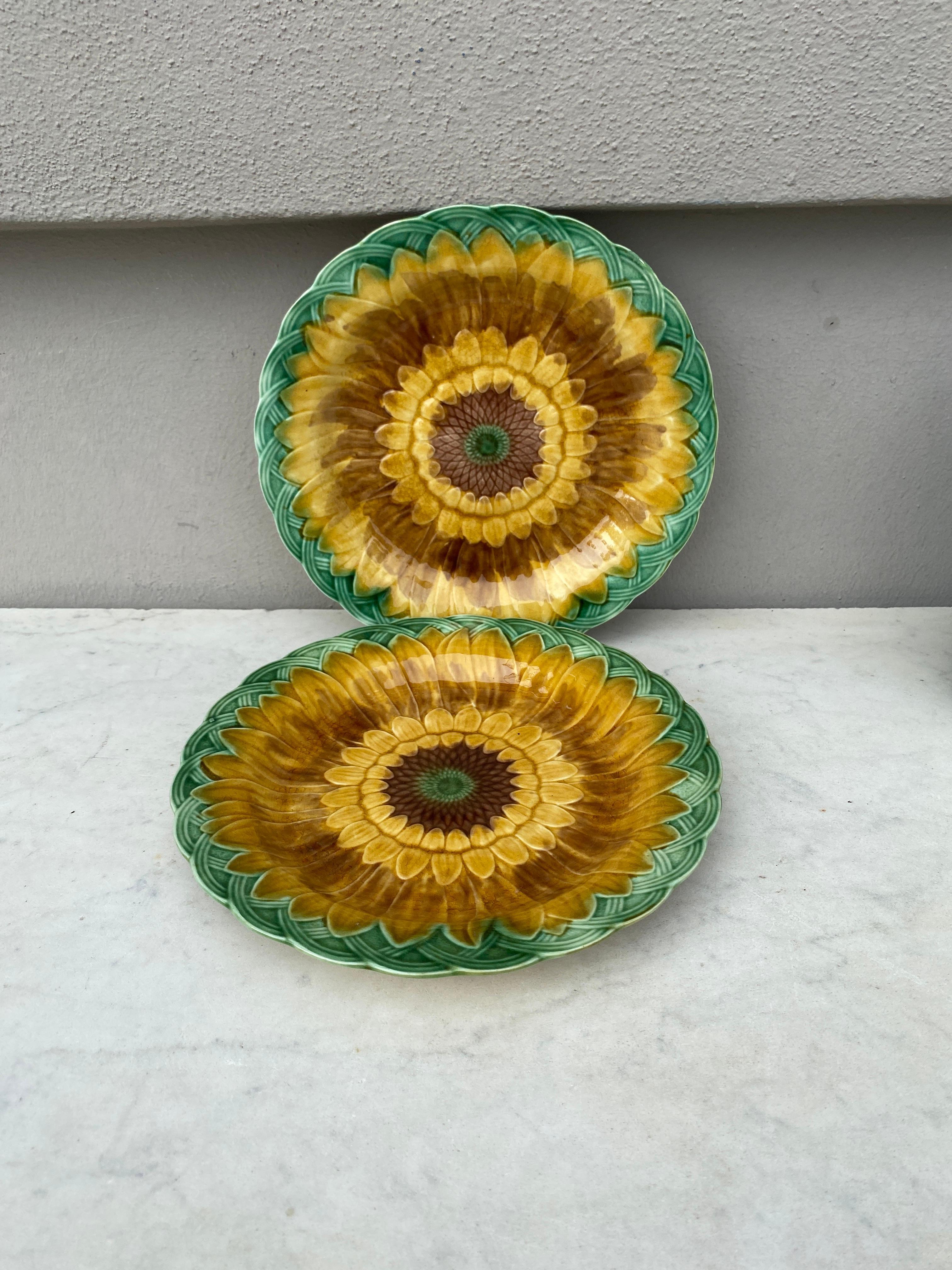 English 19th Century Majolica Sunflower Plate Wedgwood
