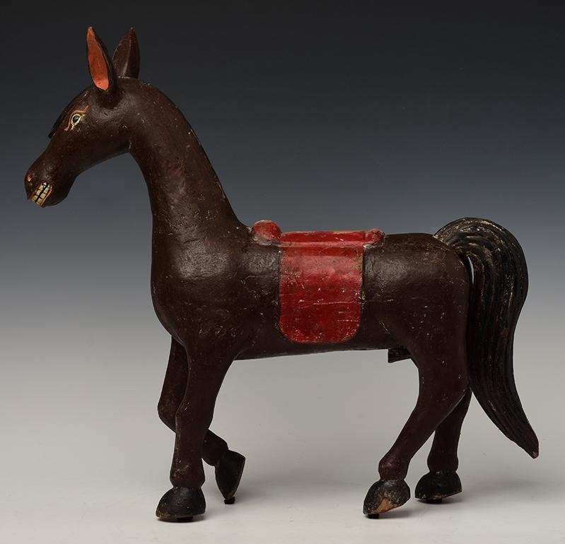 burmese horse for sale