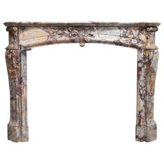 Antique 19th Century Mantel Piece in Style of Regence De Pompadour