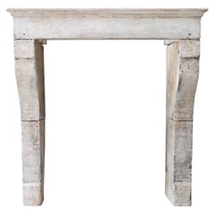 Antique 19th Century Mantle in Campagnarde Style of French Limestone