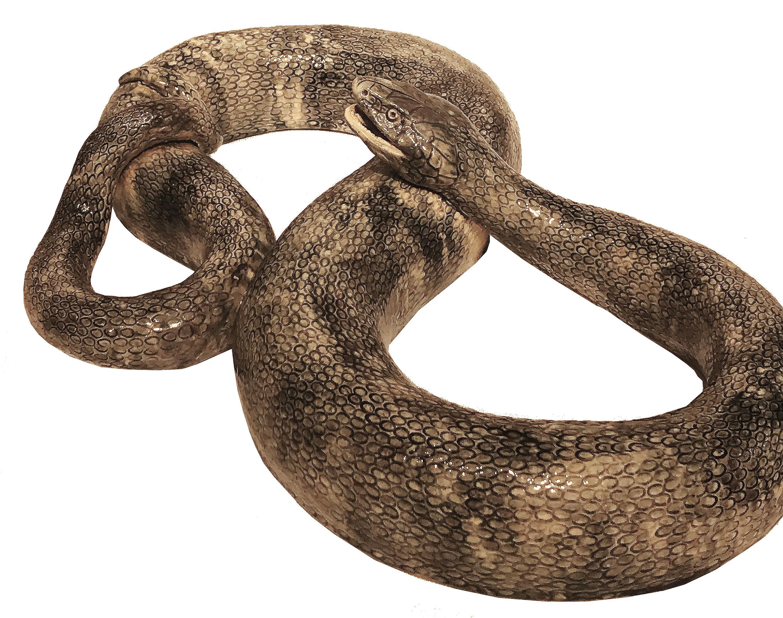 19th Century Manual Mafra Palissy Majolica Snake Wall Sculpture (Portugiesisch) im Angebot