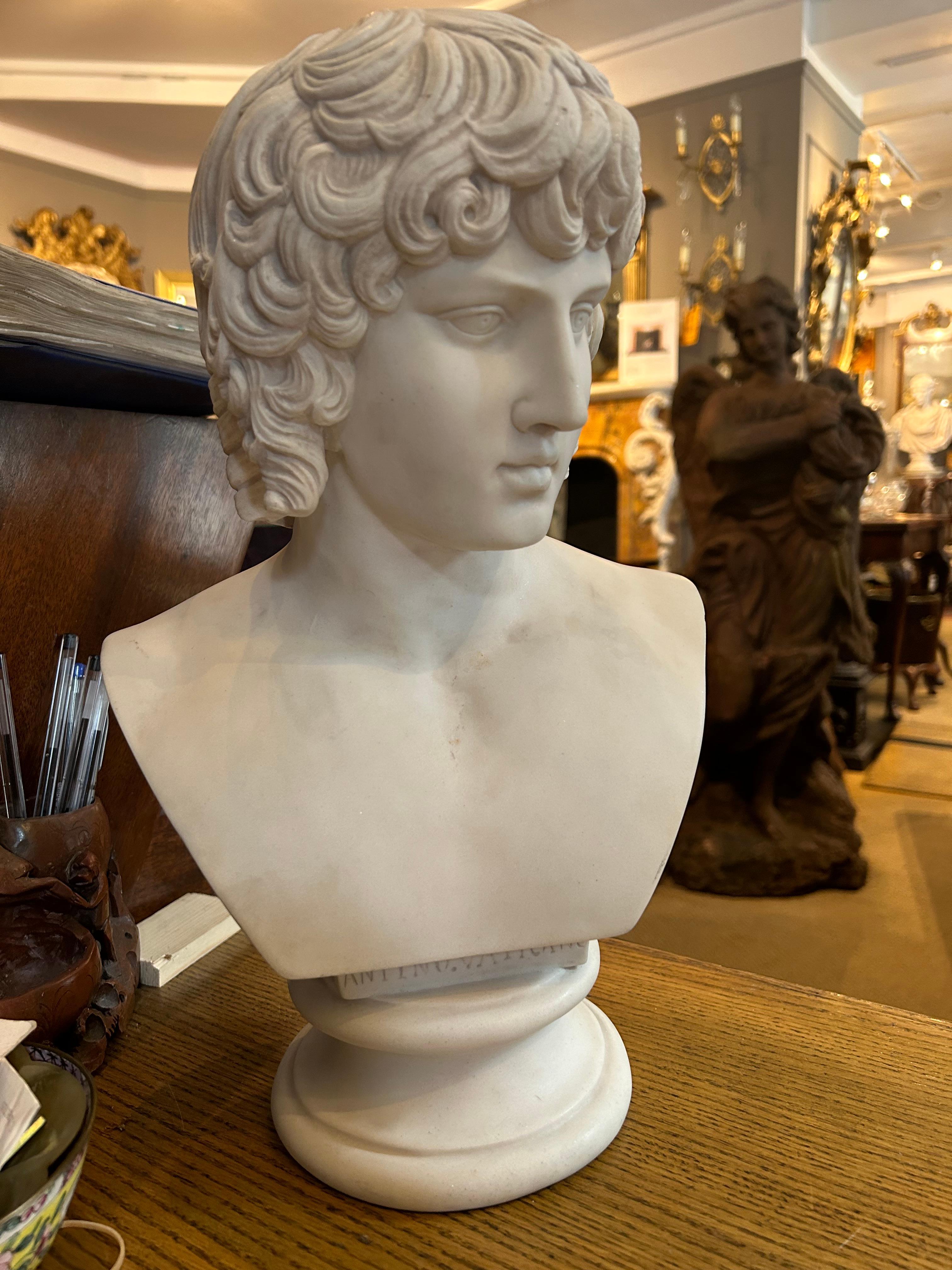 Grand Tour 19th Century Marble Bust of Antinous For Sale