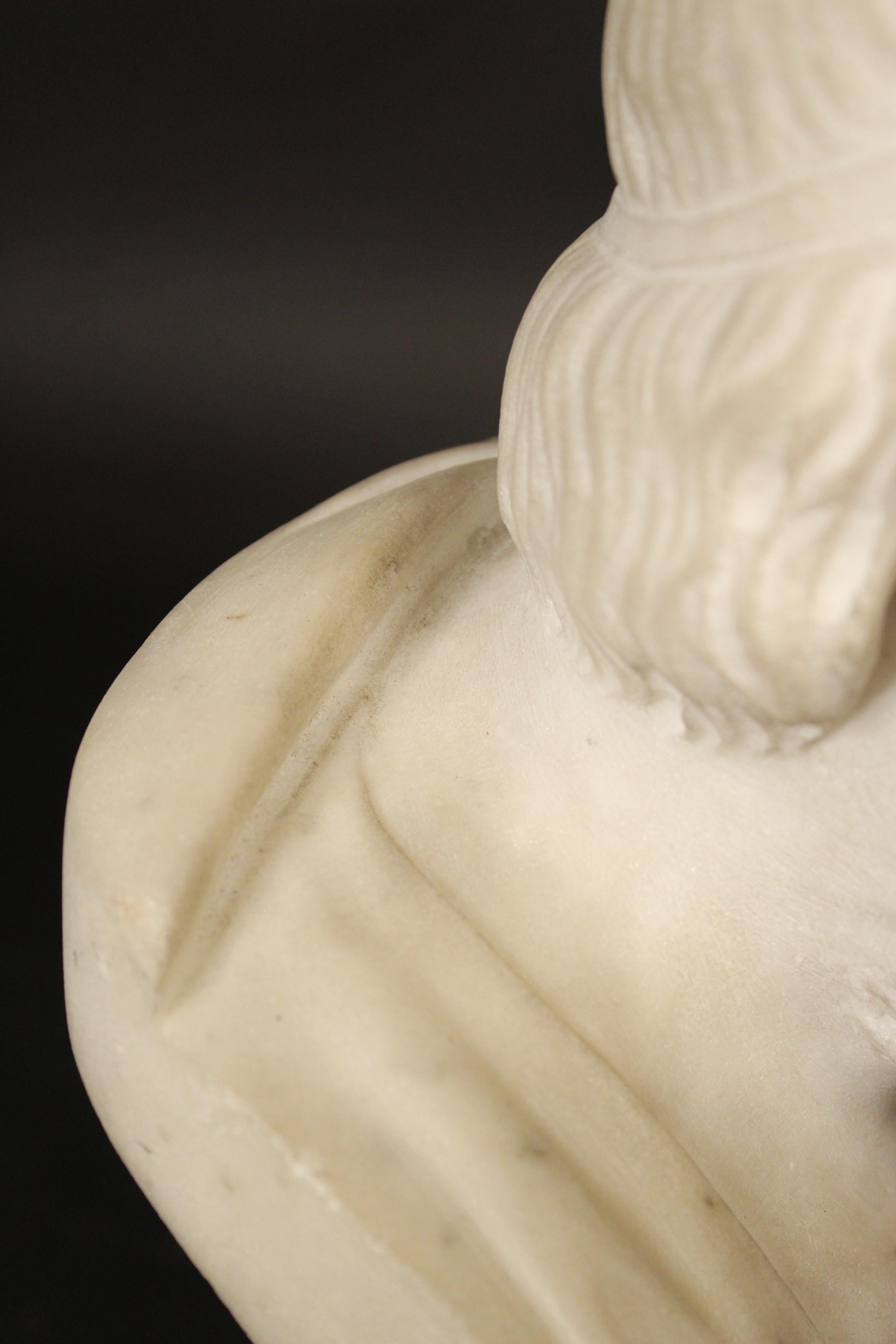 19th Century Marble Bust of Homer 3