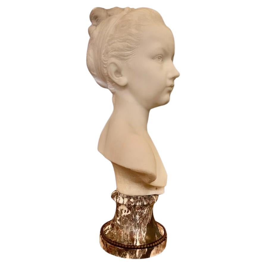 19th Century Marble Bust of Louise Brongniart on Violet Breccia Marble Pedestal For Sale