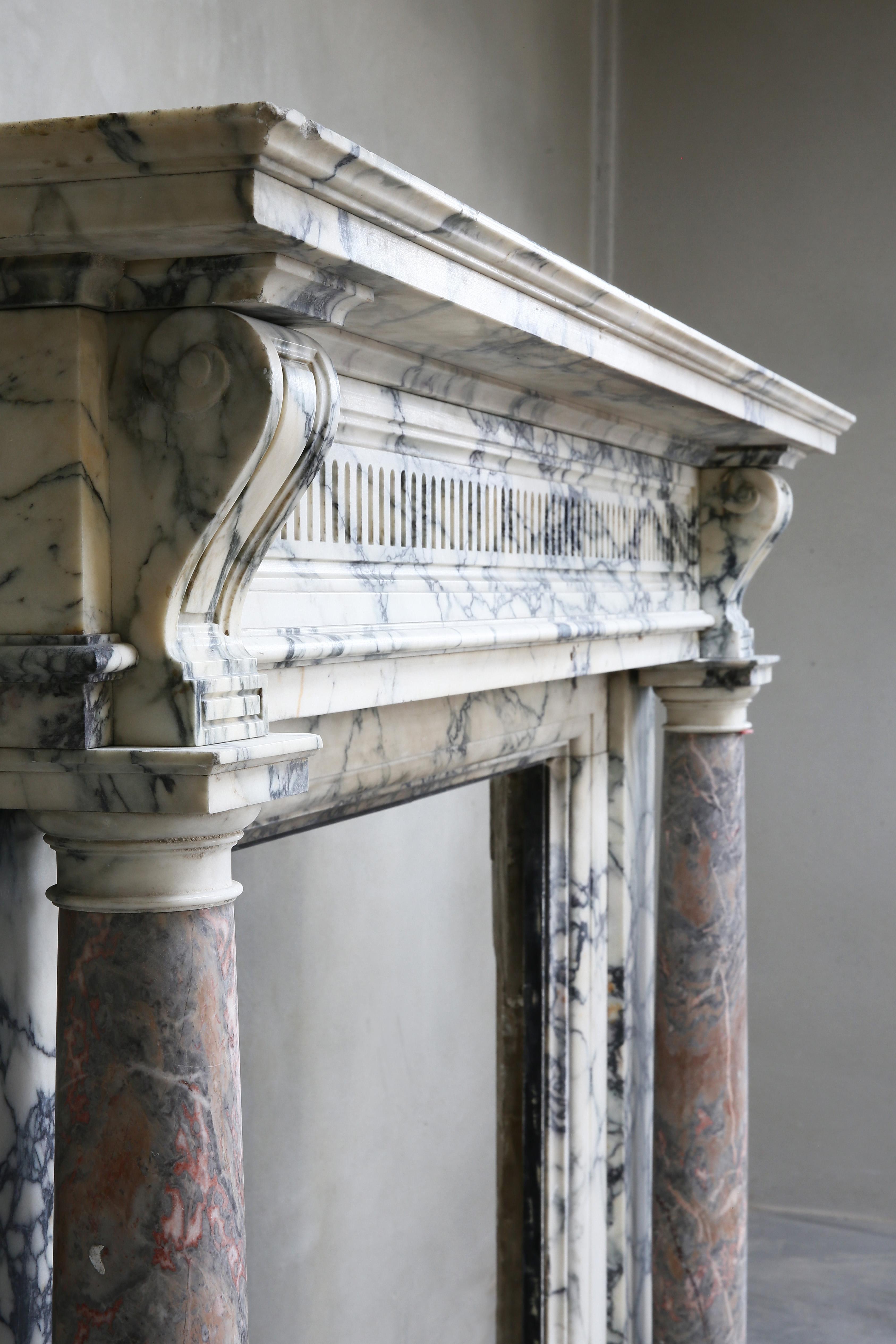 19th Century Marble Fireplace of Paonazzo Marble and Sarrancolin Marble 6