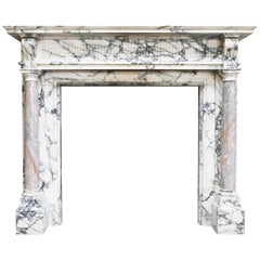 19th Century Marble Fireplace of Paonazzo Marble and Sarrancolin Marble