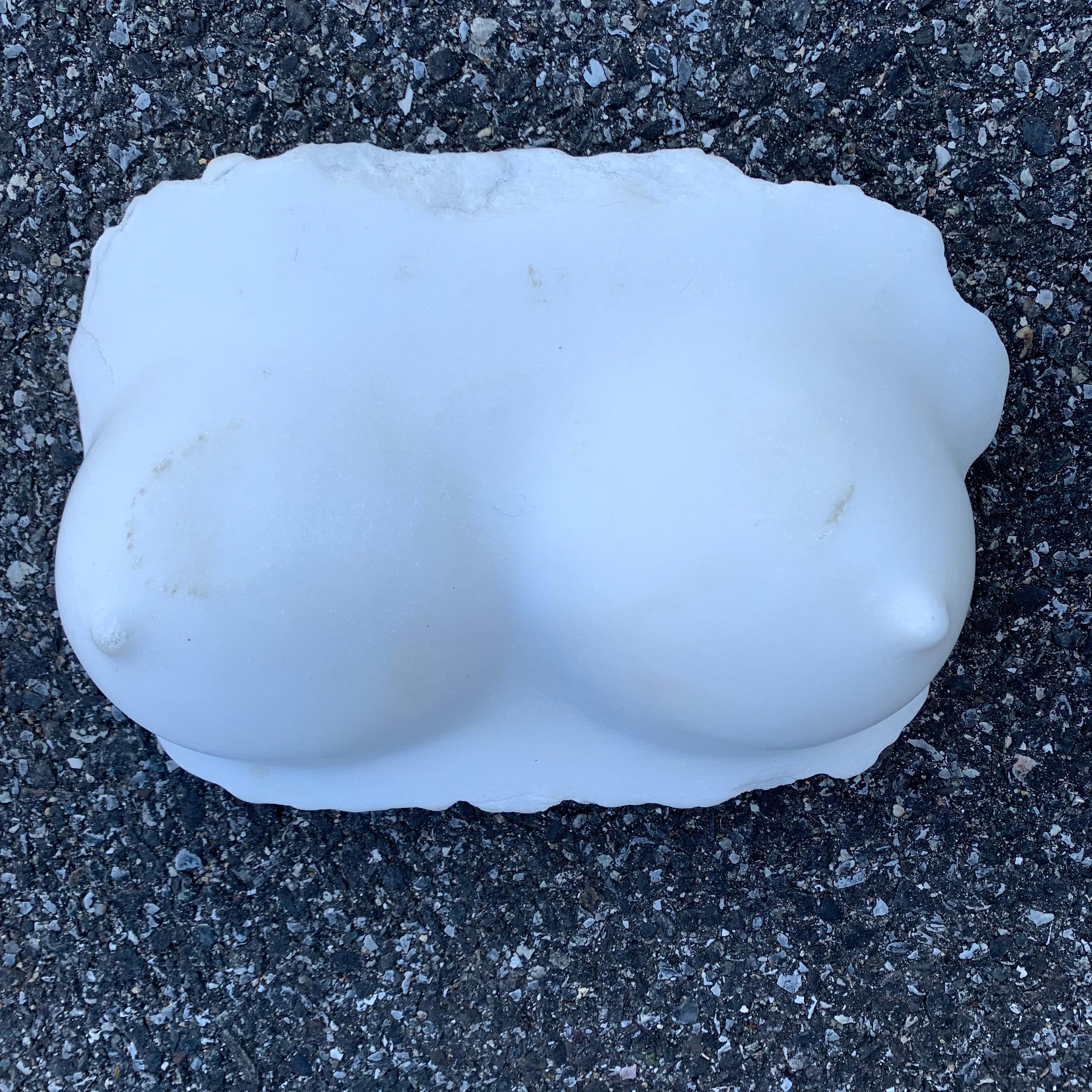 19th Century Marble Fragment Sculpture of Bosoms 3