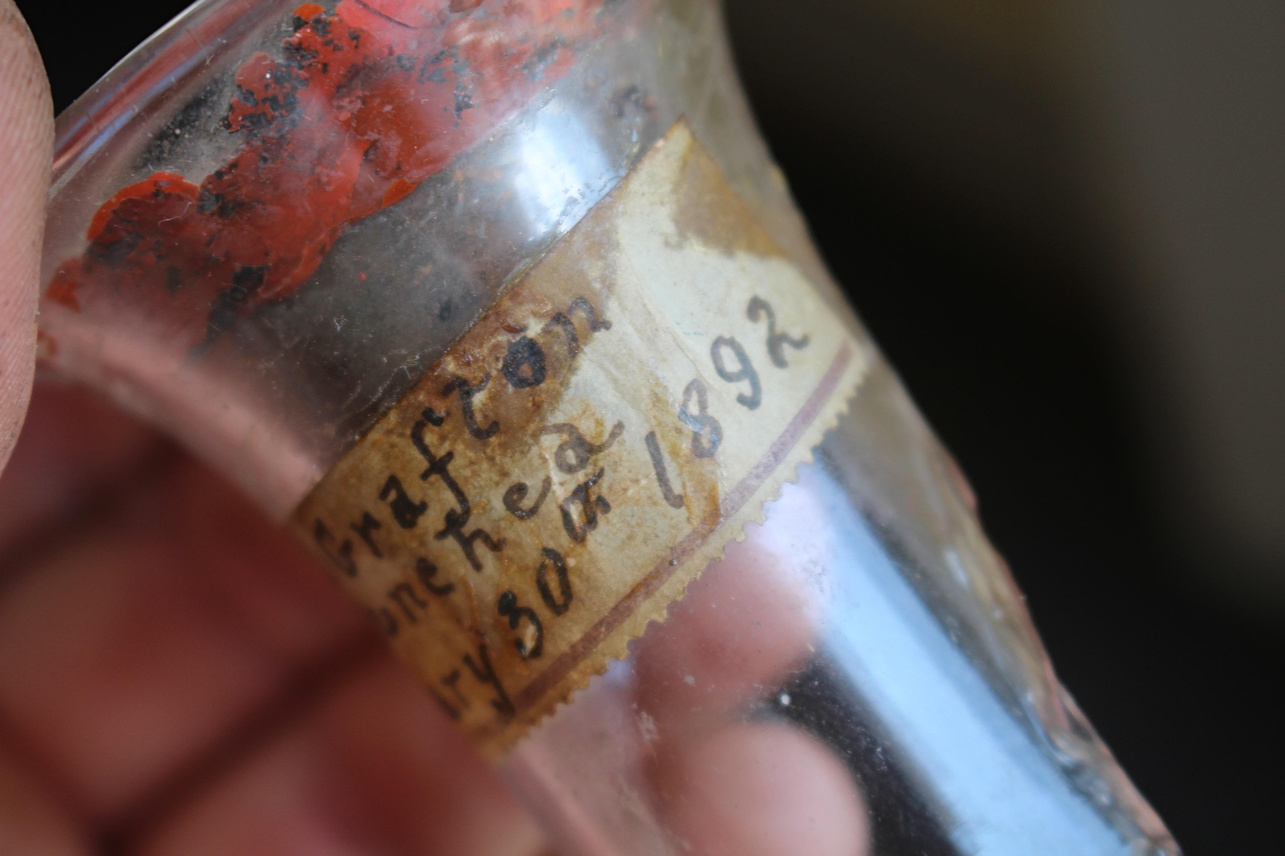 19th Century Maritime Curiosities Launch Bottle Shards Naval Sailors For Sale 1