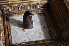 19th Century Maritime Nautical Sailor Folk Art Carved Cassia Pod Nut Curiosity