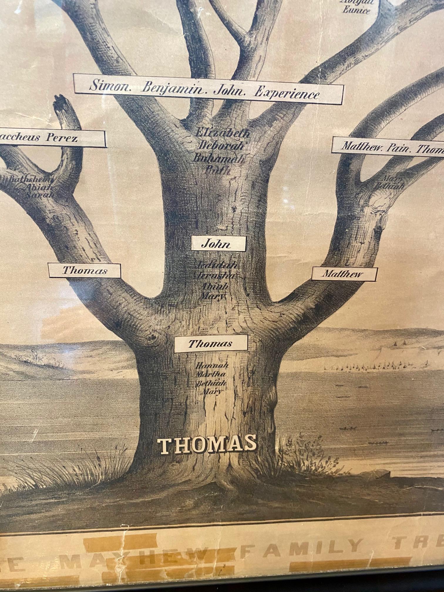 Very rare 19th century Mayhew Family tree from Nantucket and Martha's Vineyard, lithograph on paper laid on linen, printed in 1855, in form of literal tree above coastal landscape with dunes and rolling hills, settlements, ship and many canoes. The