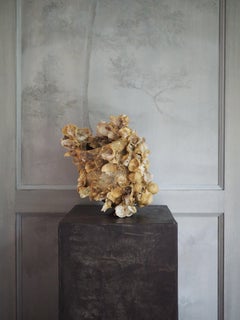 19th Century McConaughey Pot
