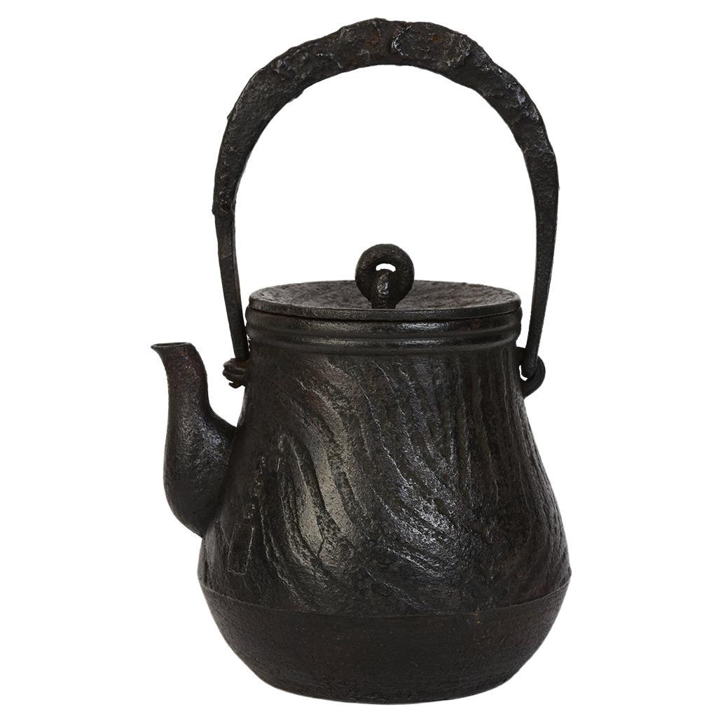 19th Century, Meiji, Antique Japanese Iron Teapot with Artist Sign For Sale